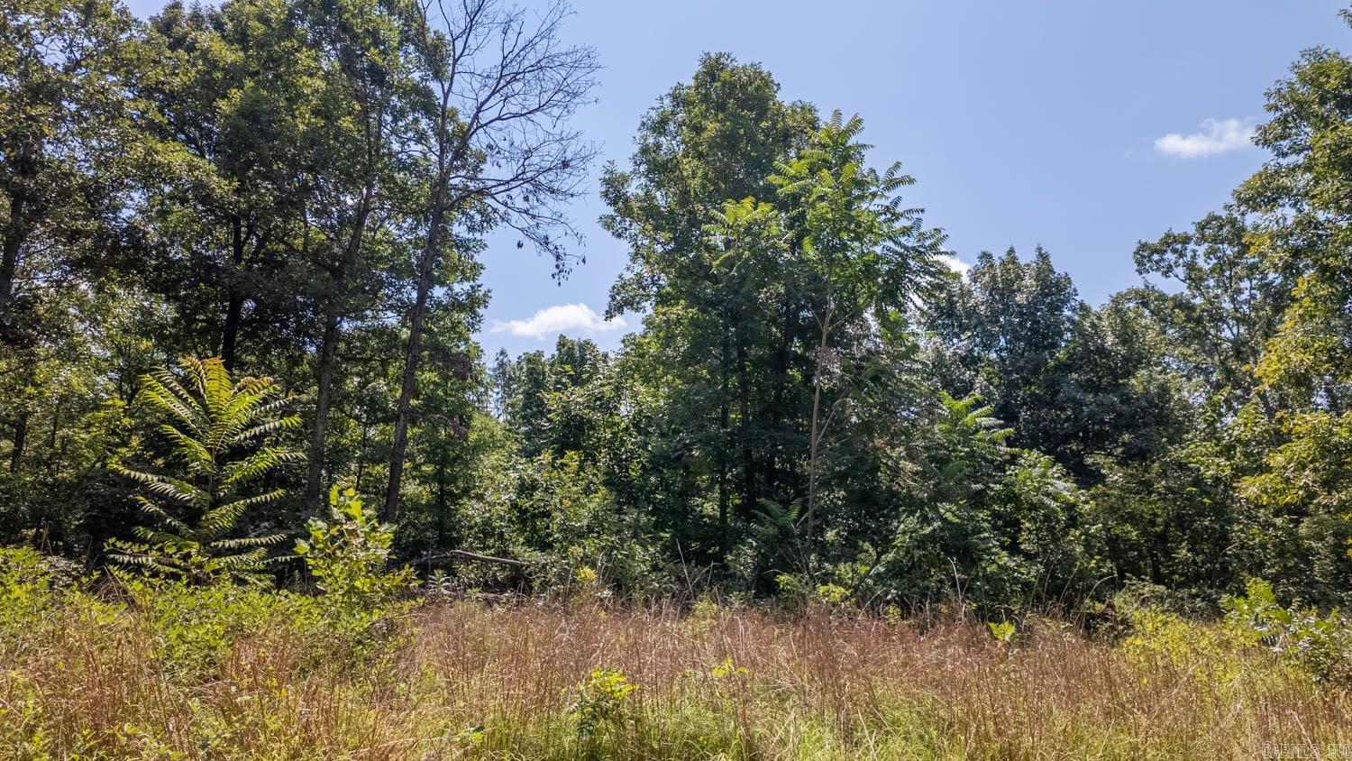 Tract 1 Upper Janes Creek Road Property Photo 8