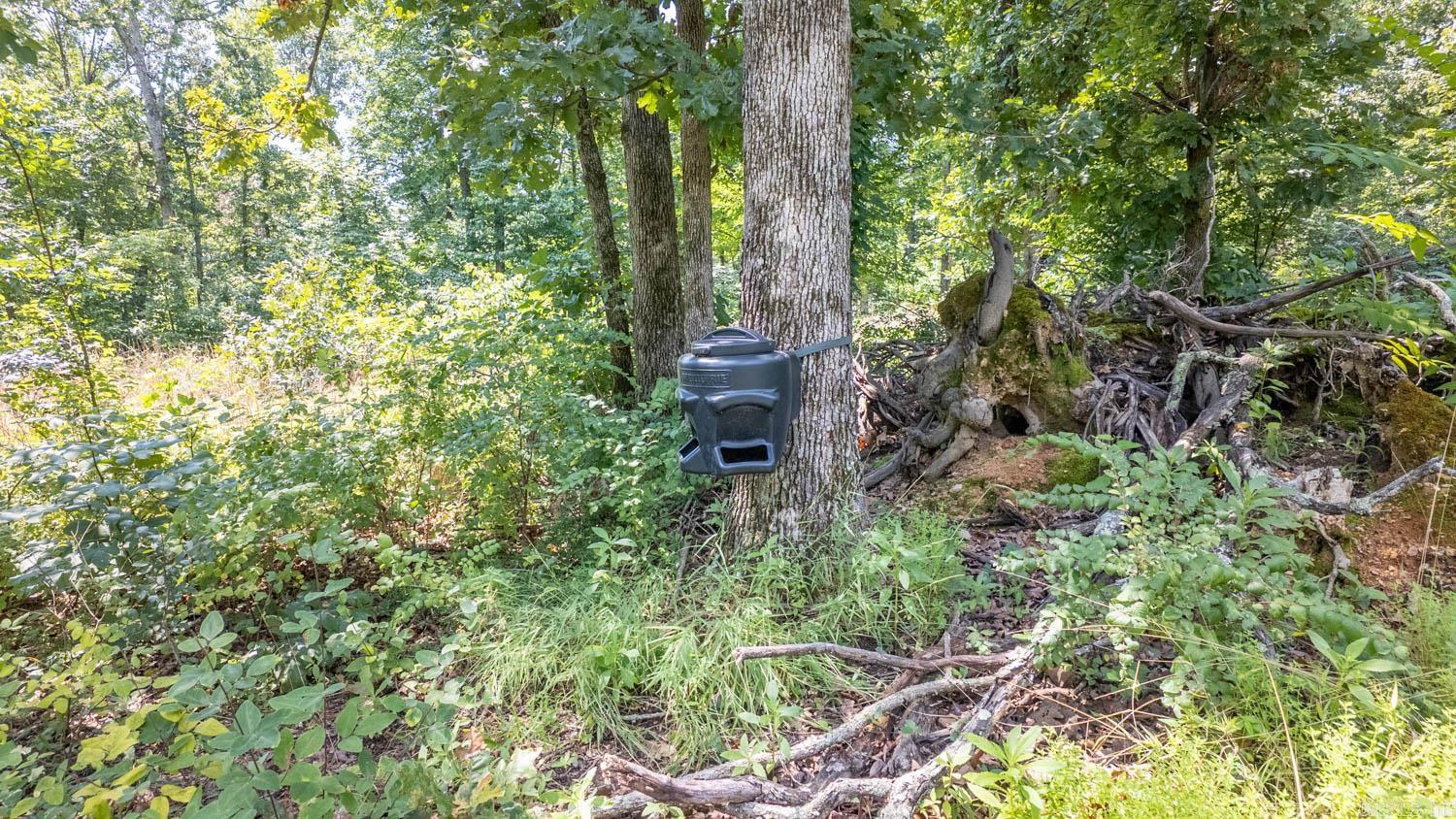 Tract 1 Upper Janes Creek Road Property Photo 9