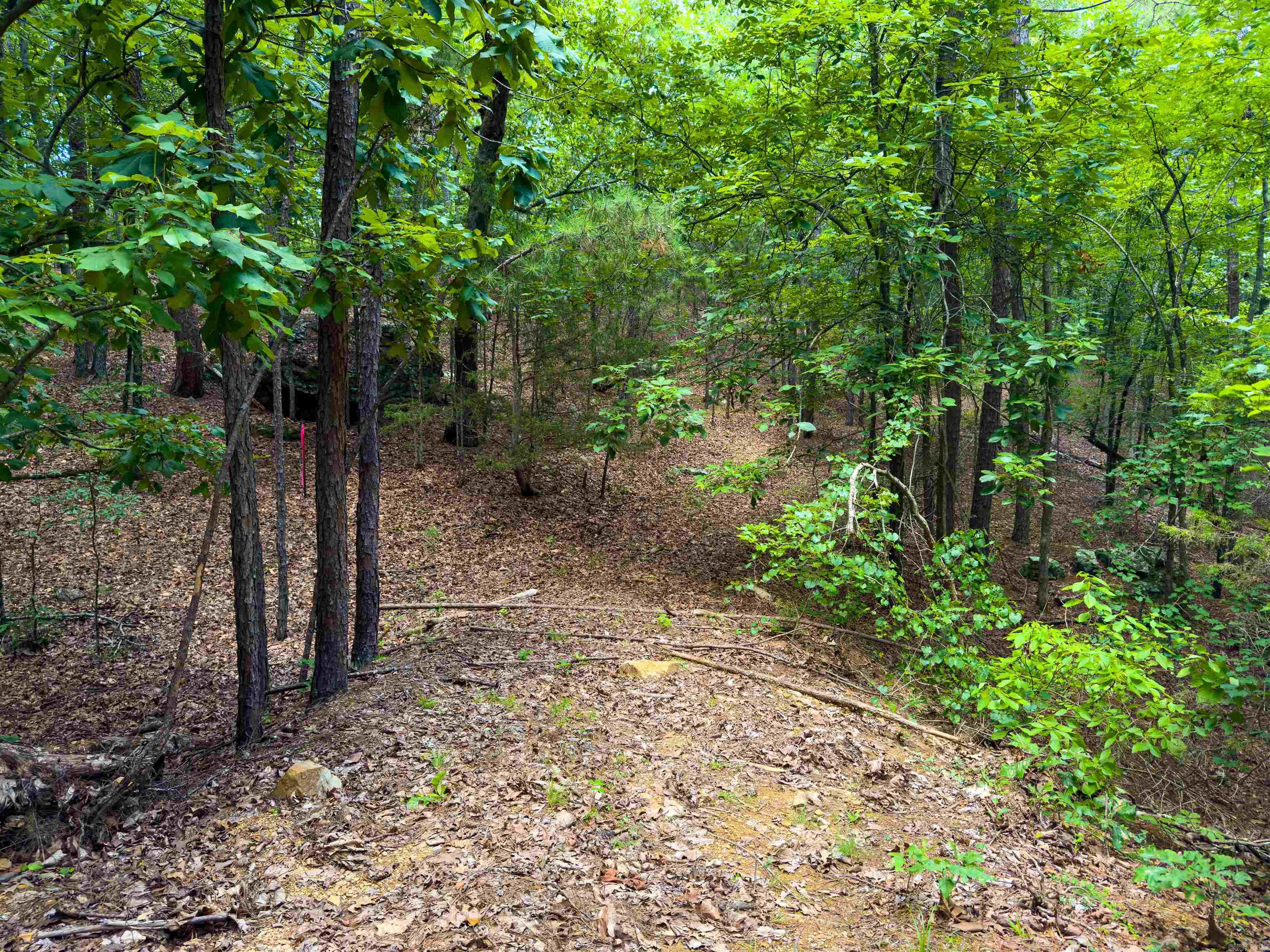 00 Ember Road Property Photo 1