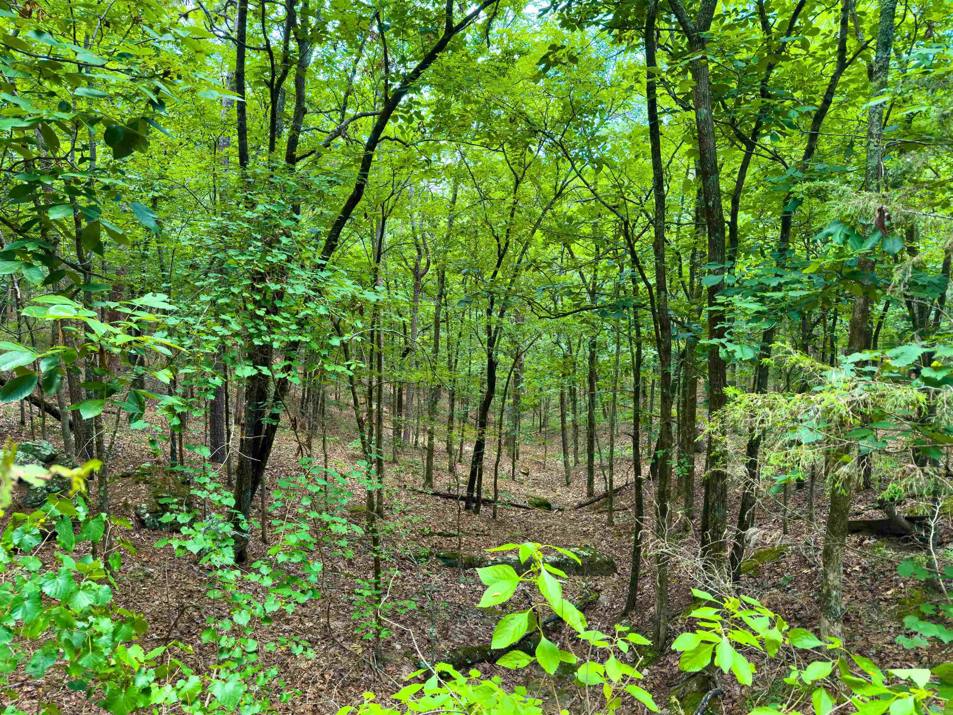 00 Ember Road Property Photo 2