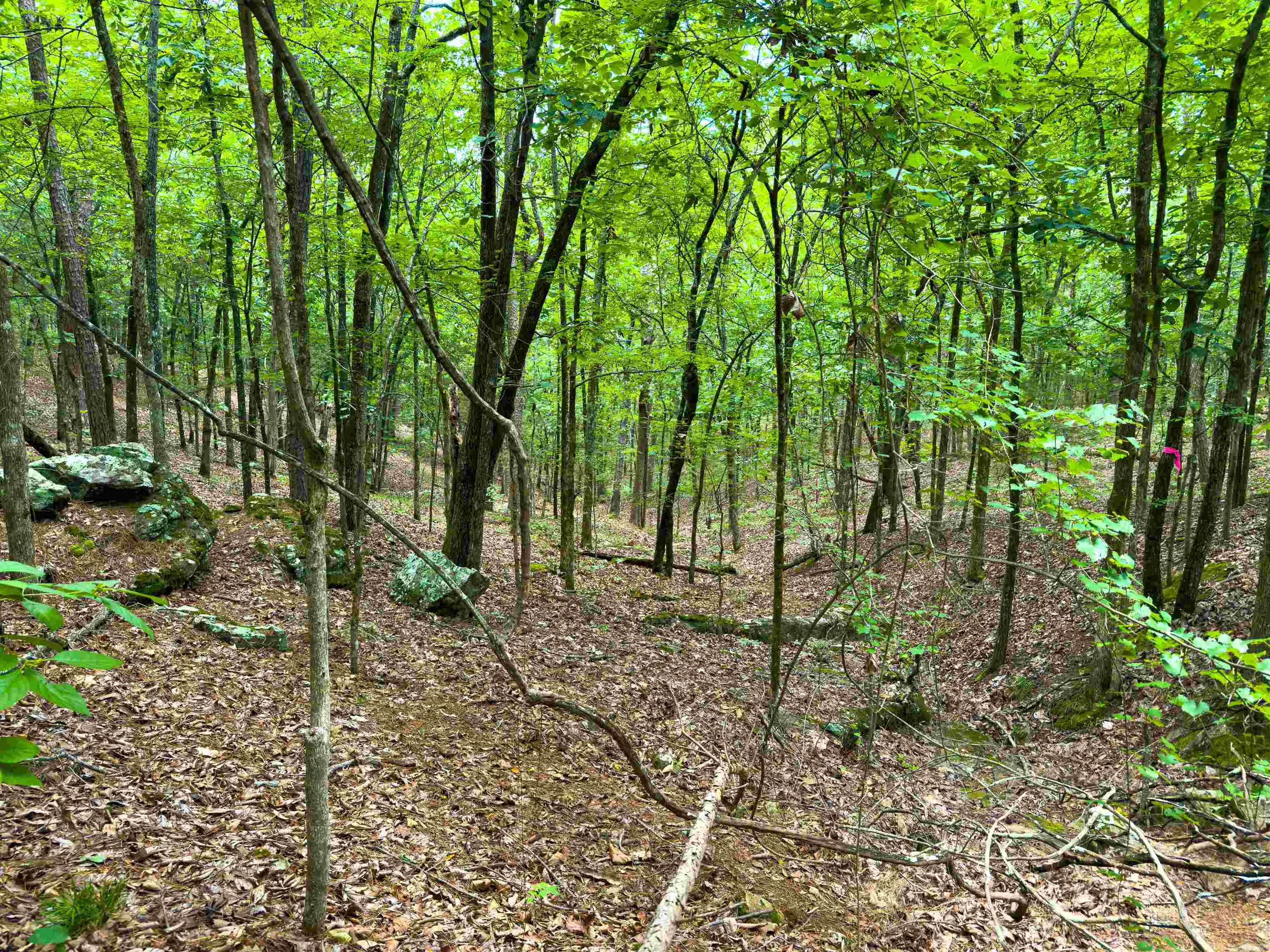 00 Ember Road Property Photo 3