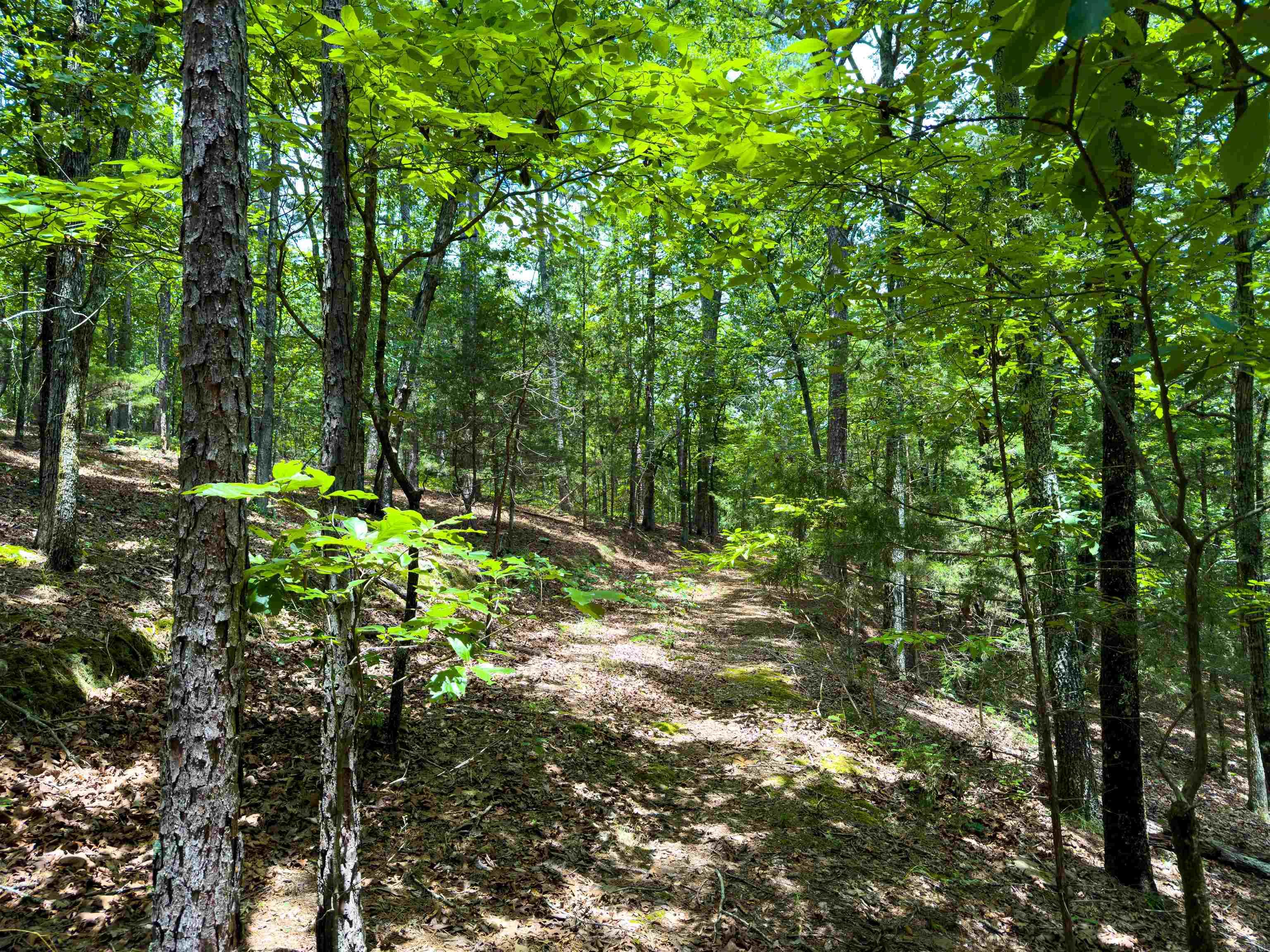00 Ember Road Property Photo 4