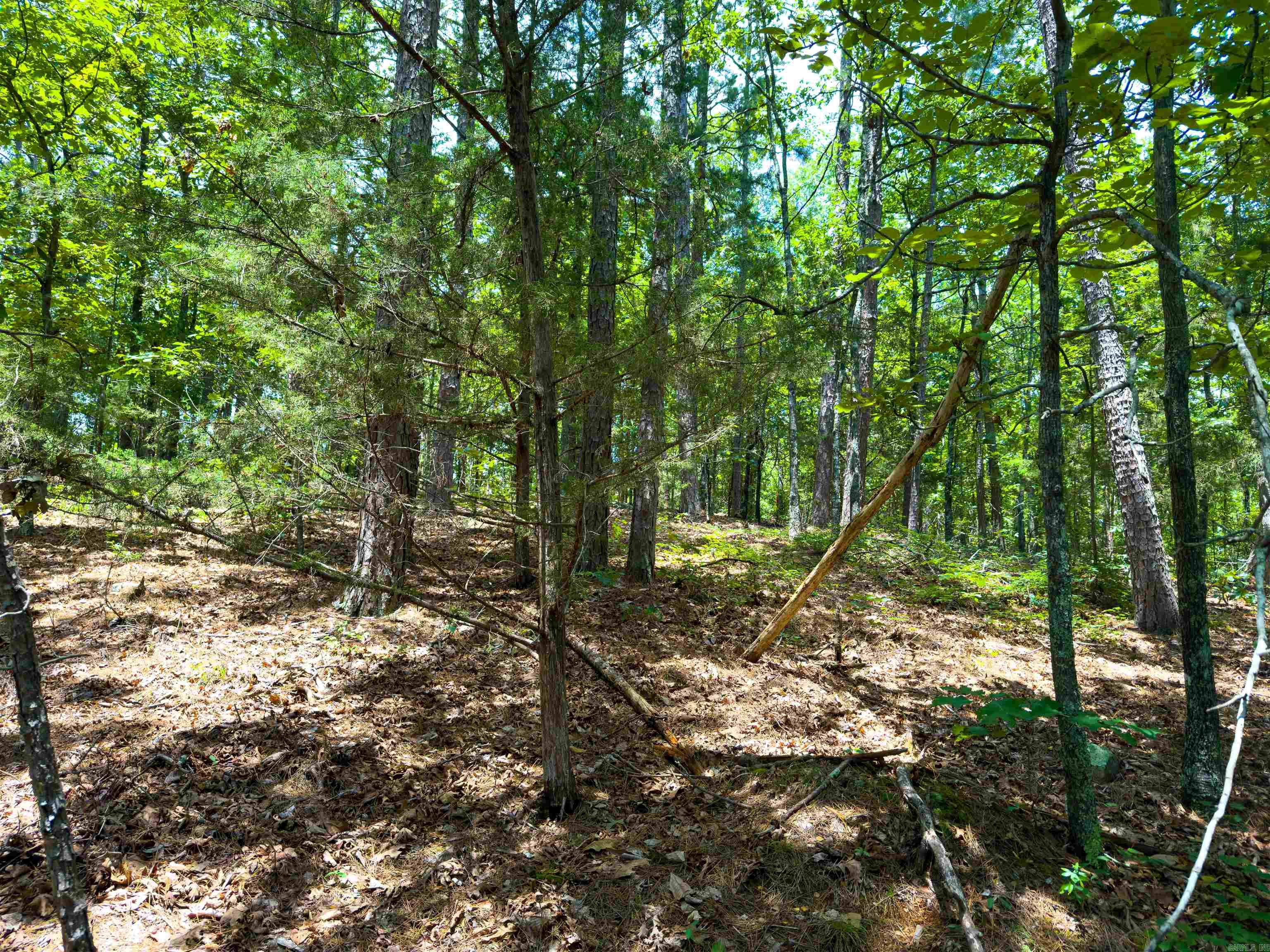 00 Ember Road Property Photo 6