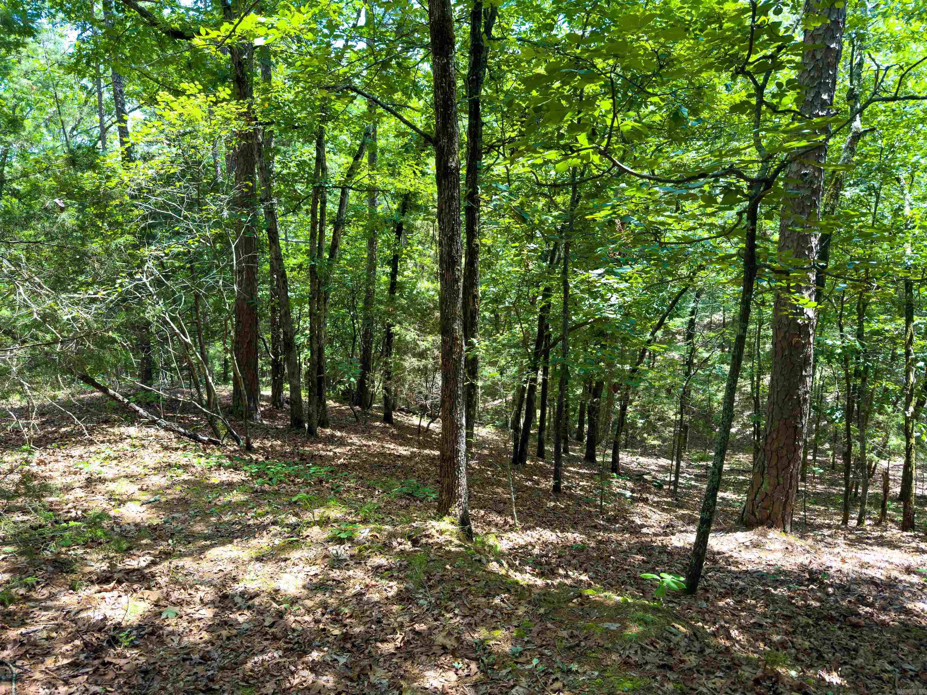 00 Ember Road Property Photo 8