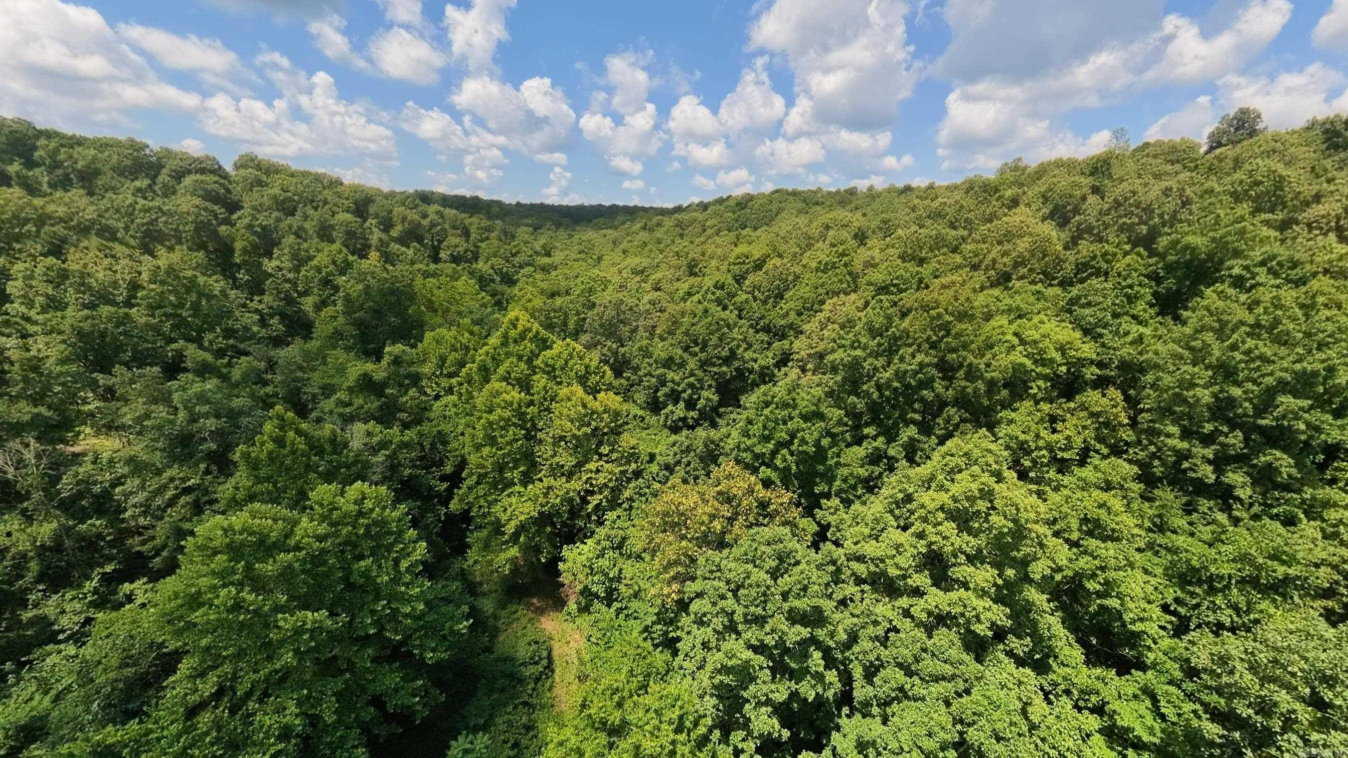 Tract 5 Upper Janes Creek Road Property Photo 8