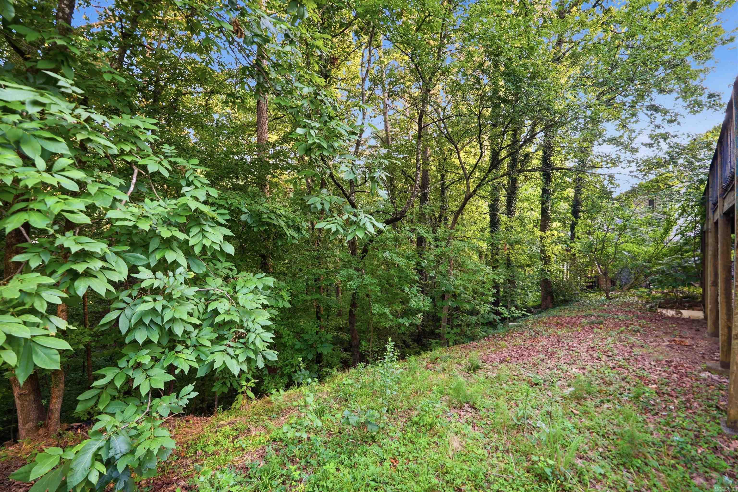 1313 River Oaks Drive Property Photo 43