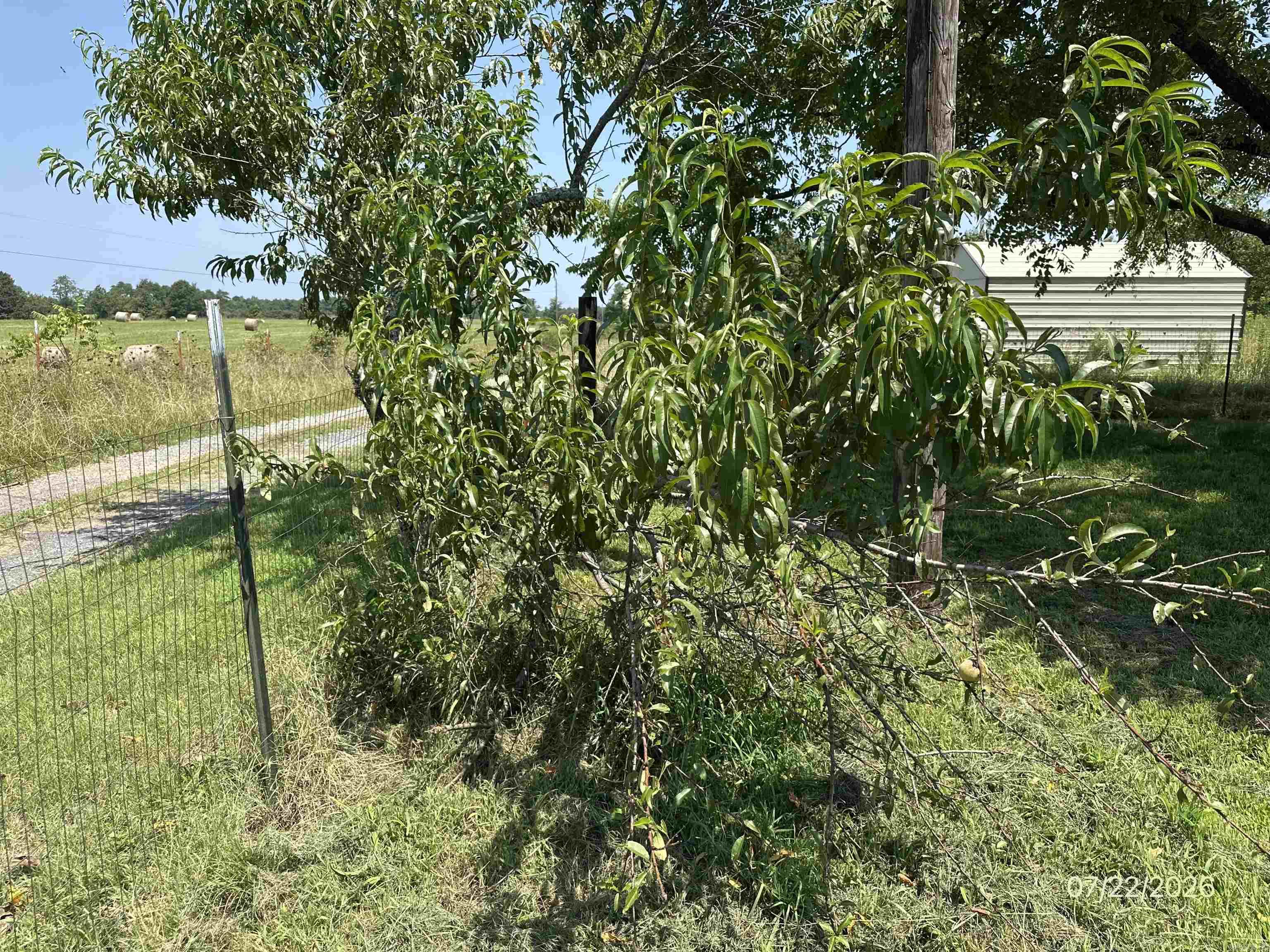 123 Nevermore Drive Property Photo 24