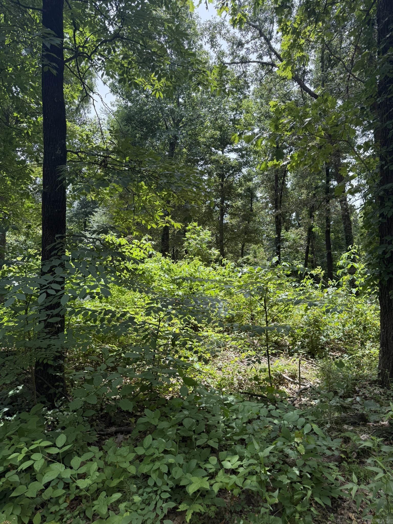 324 County Road 426 Property Photo 6
