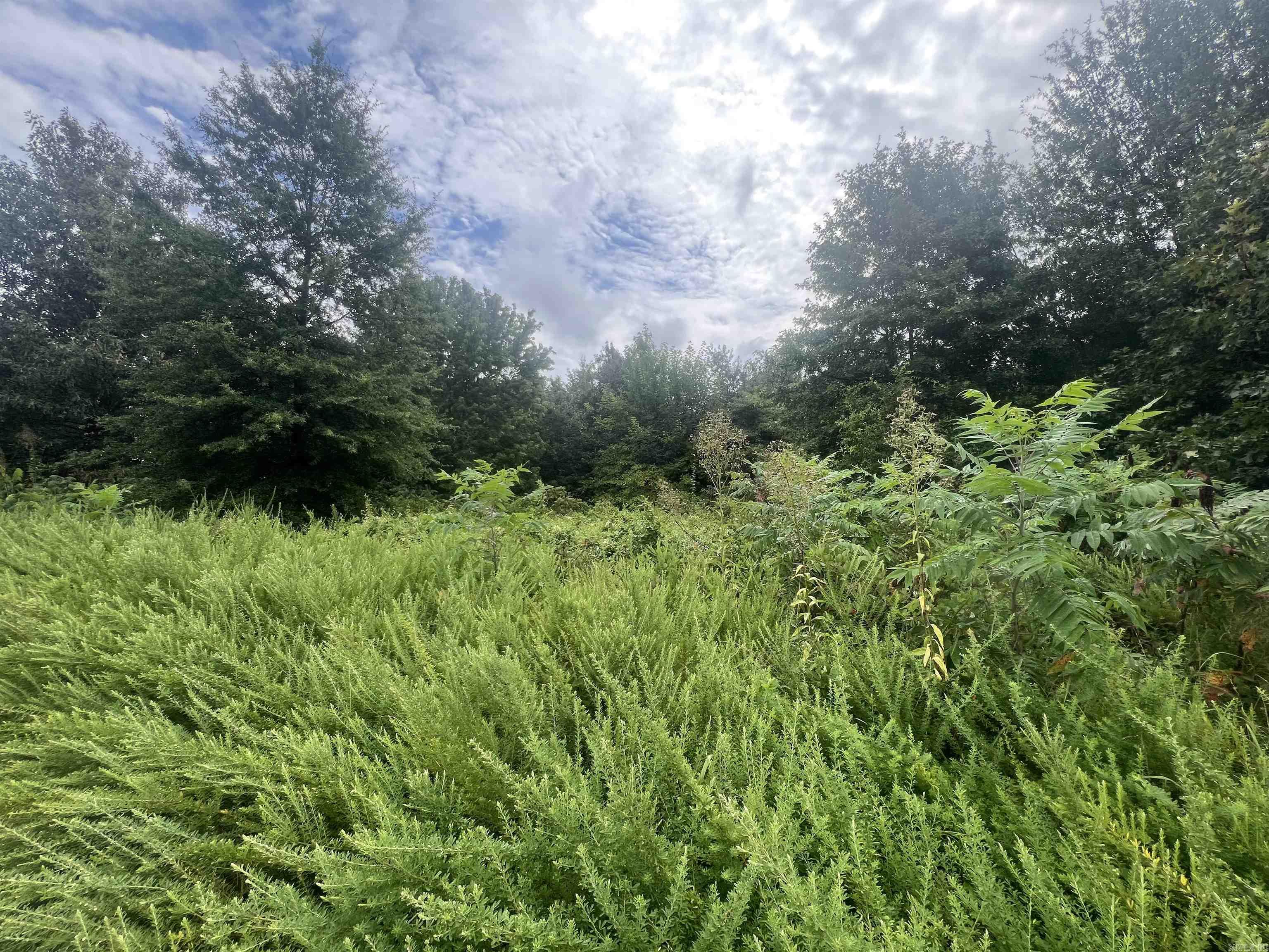 88 1661 Road Property Photo 2