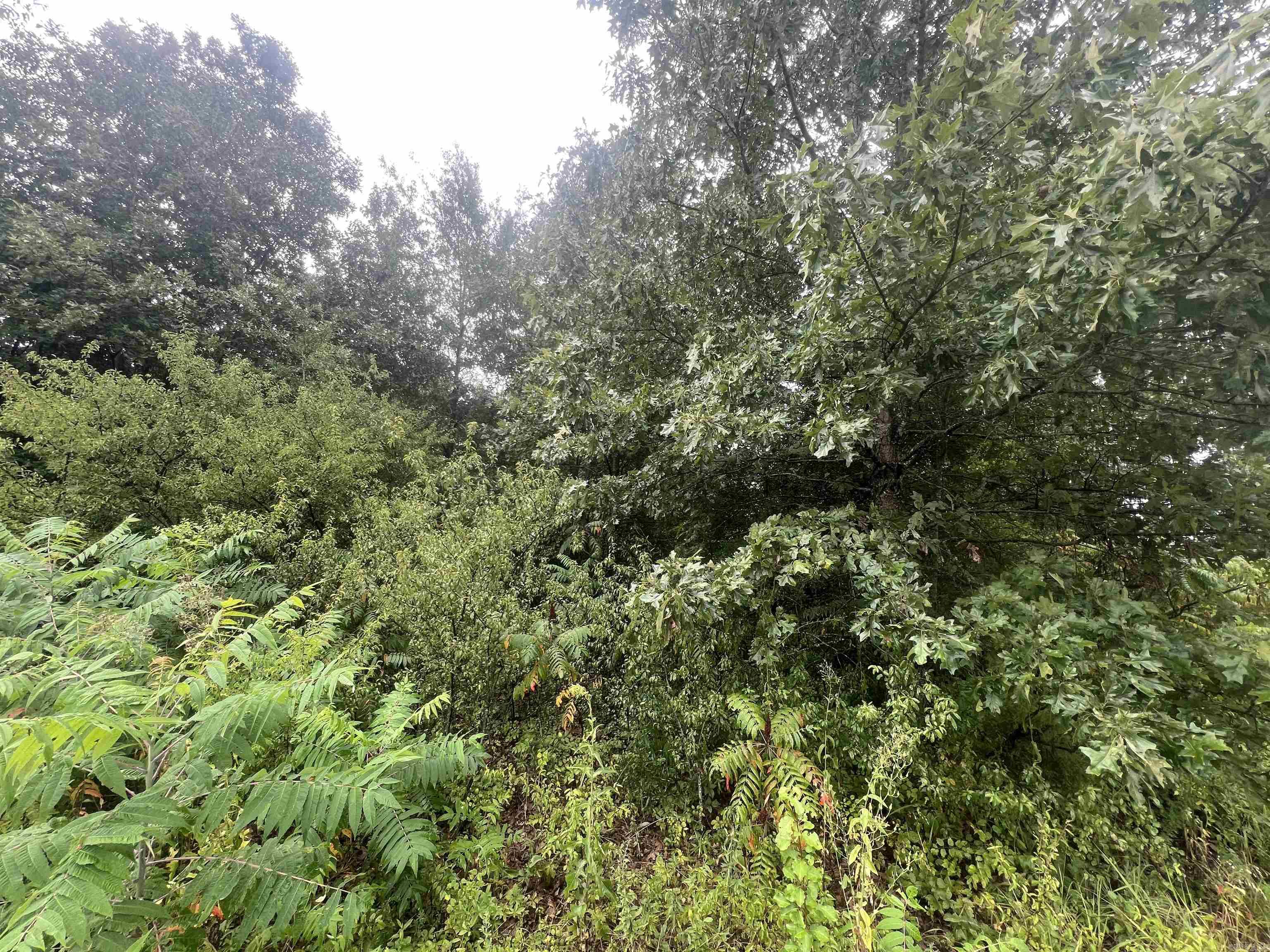 88 1661 Road Property Photo 3