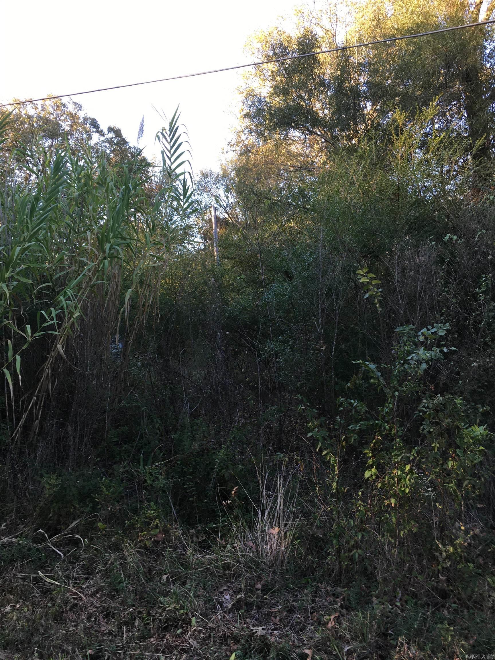 4418 Lena Lane Property Photo 2
