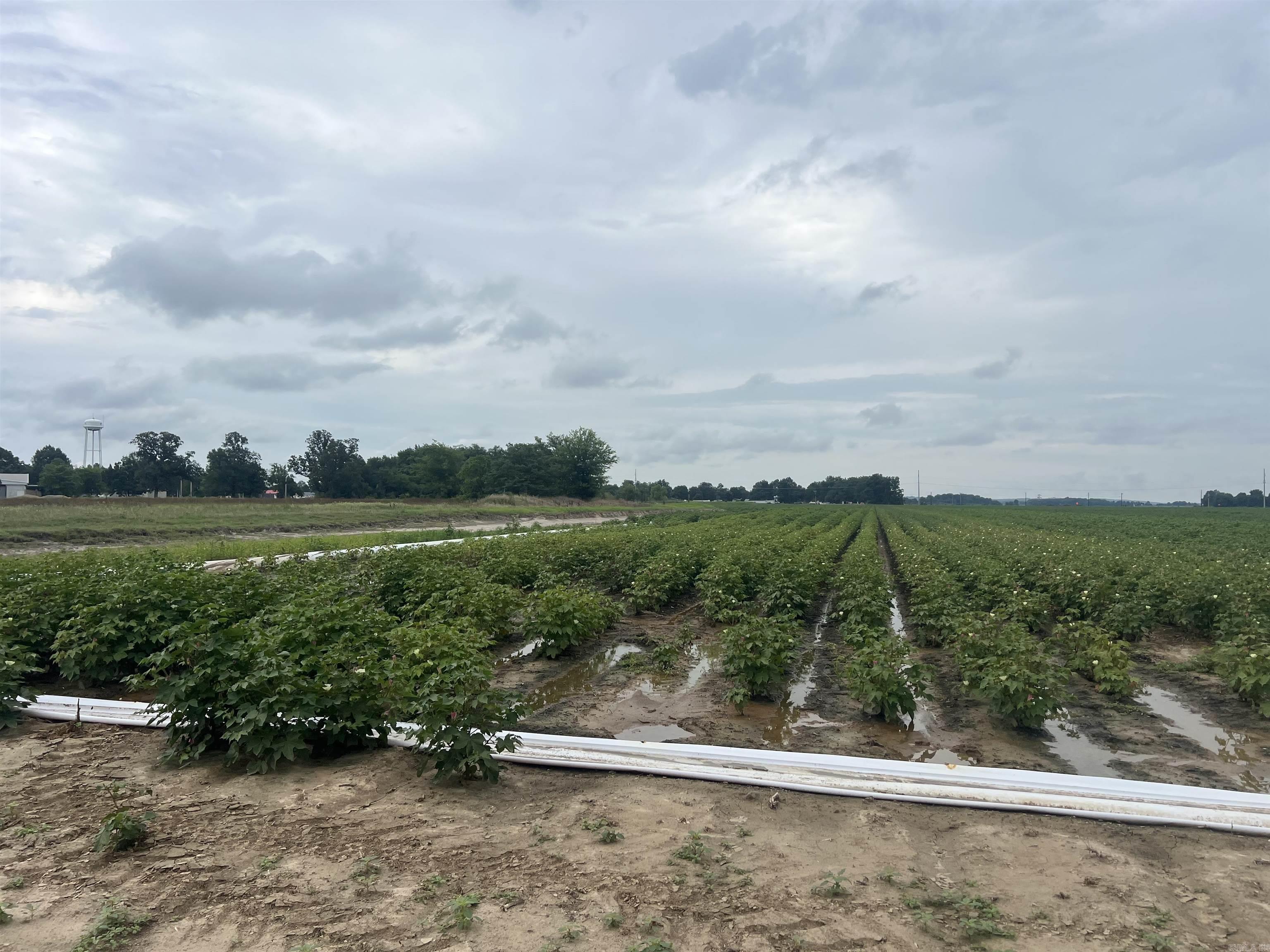0 Clay 312 Road
