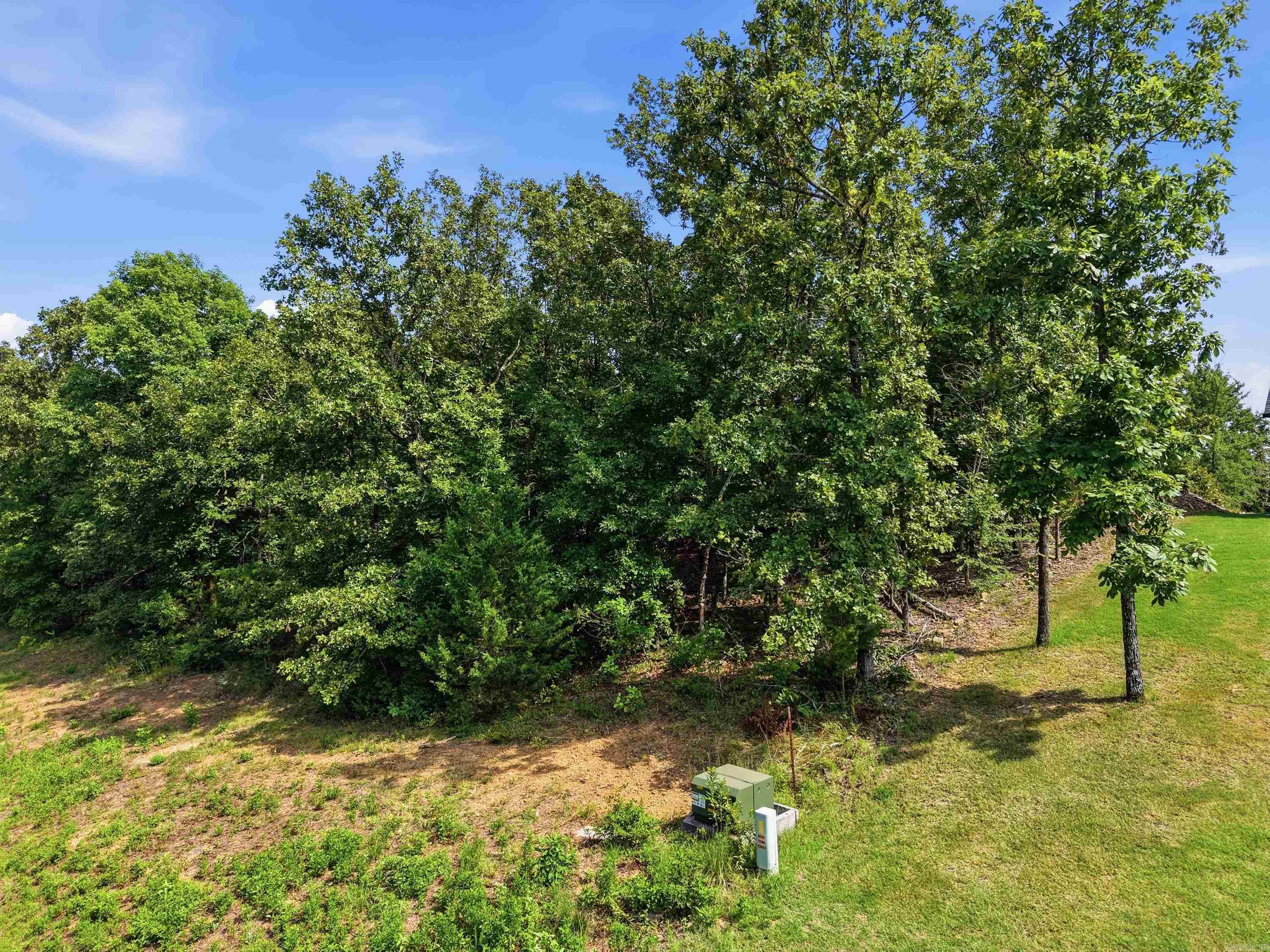 Lot 37 Crested Butte Property Photo 4