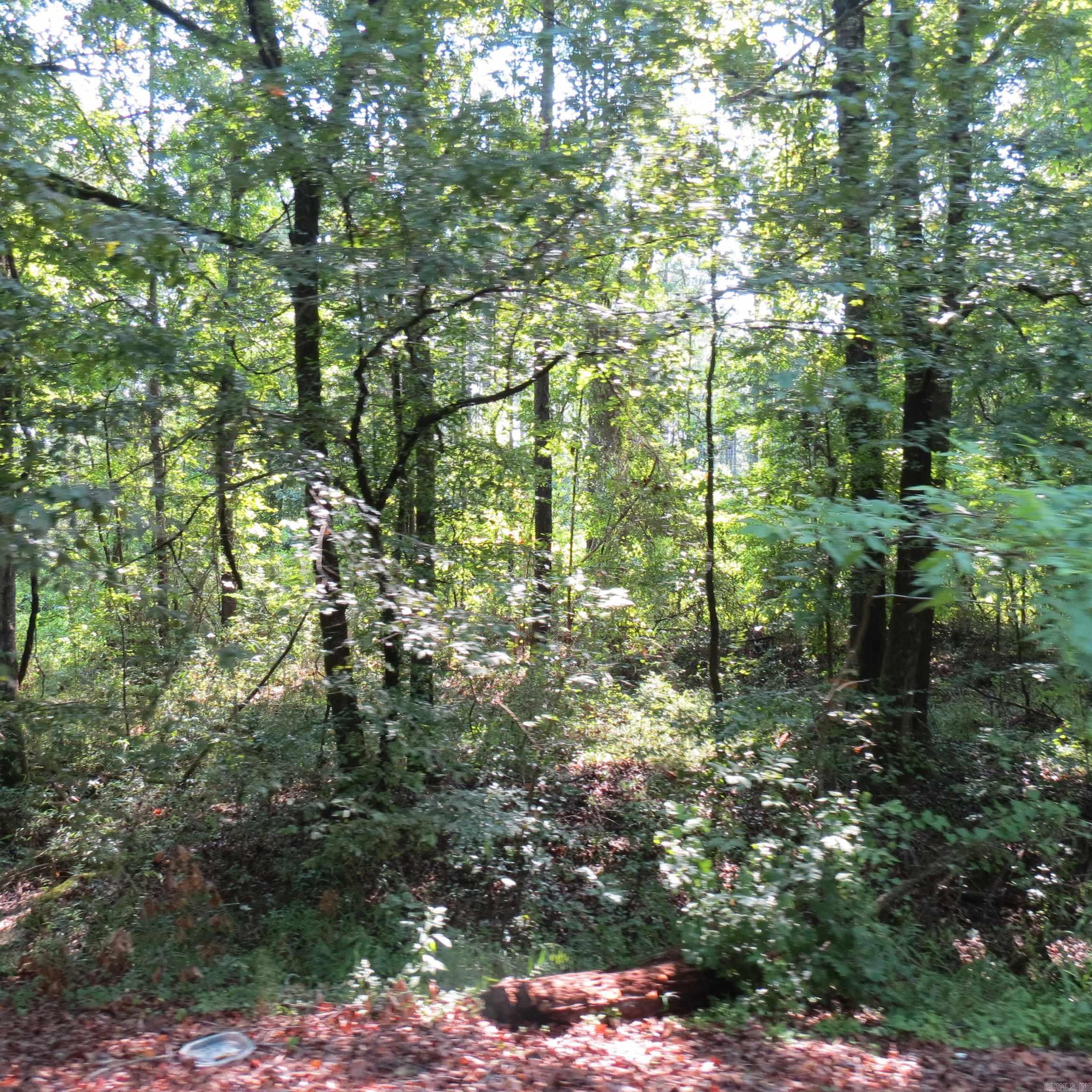 000 Highway 133 Property Photo 1