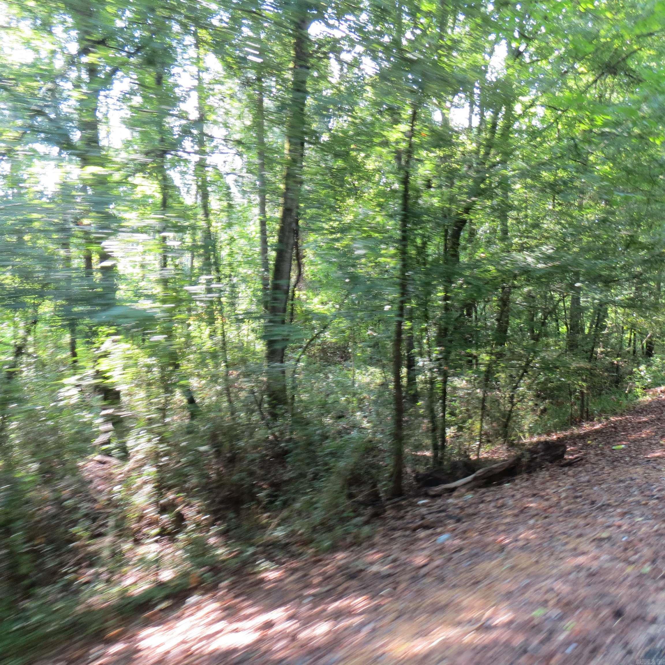 000 Highway 133 Property Photo 2