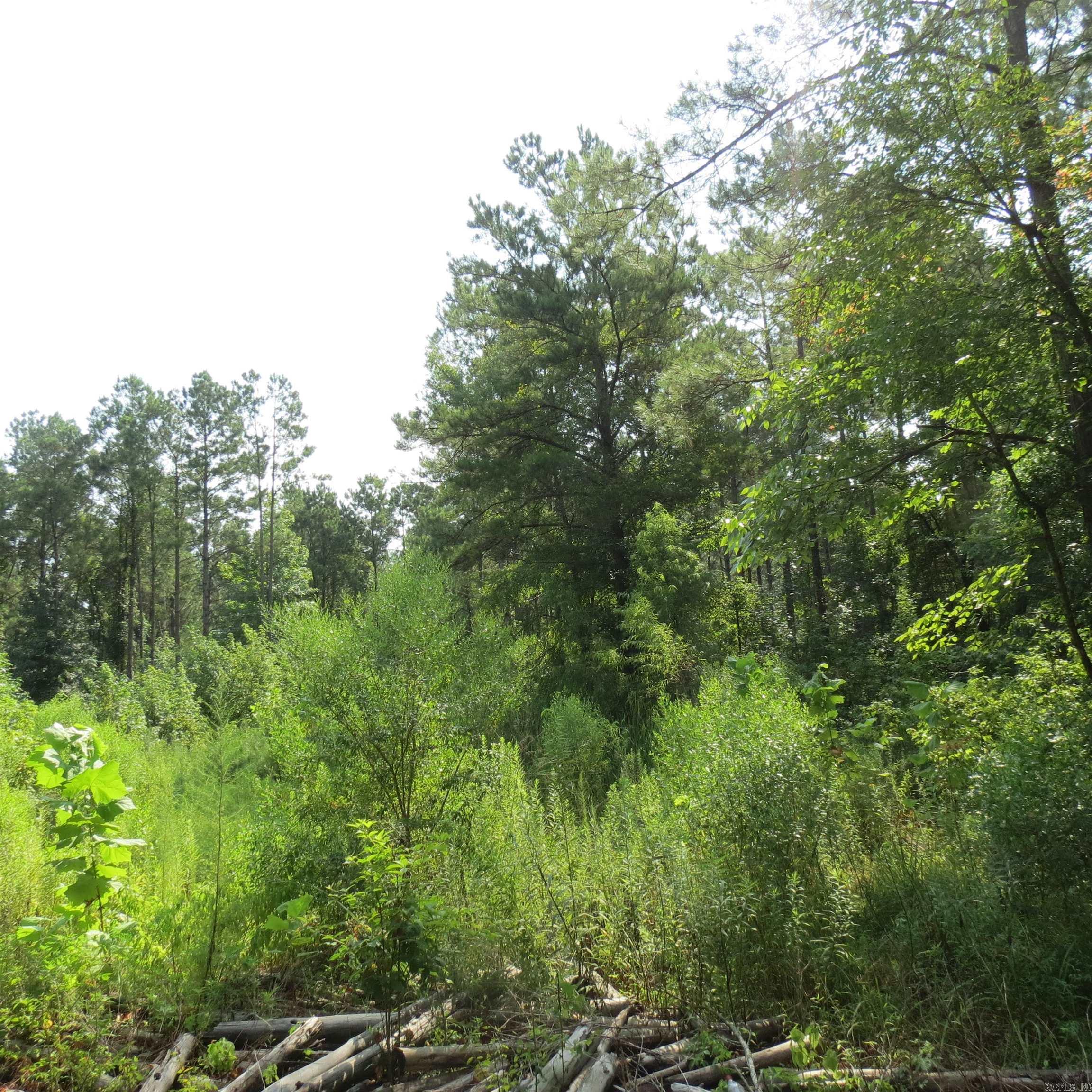 000 Highway 133 Property Photo 3