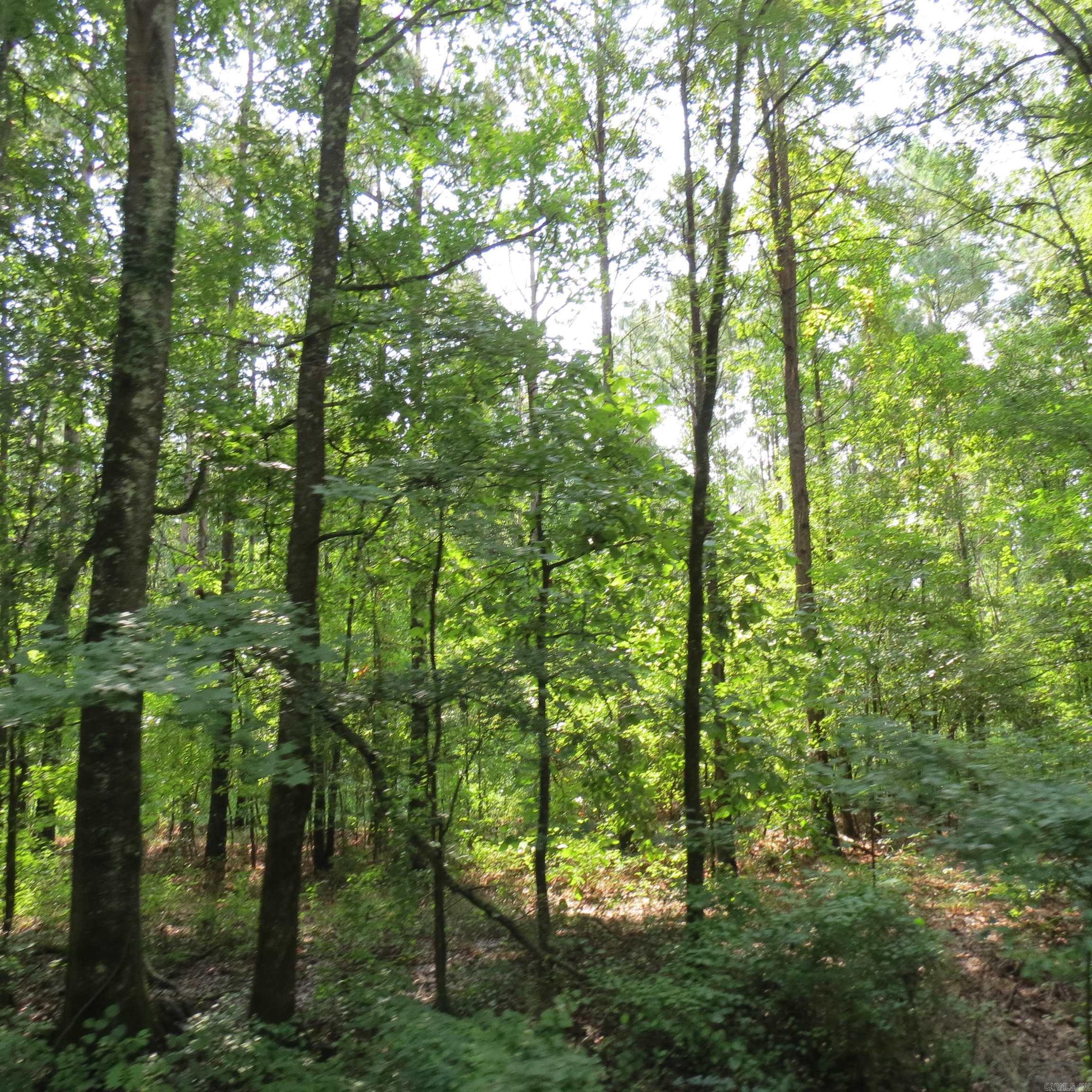 000 Highway 133 Property Photo 4