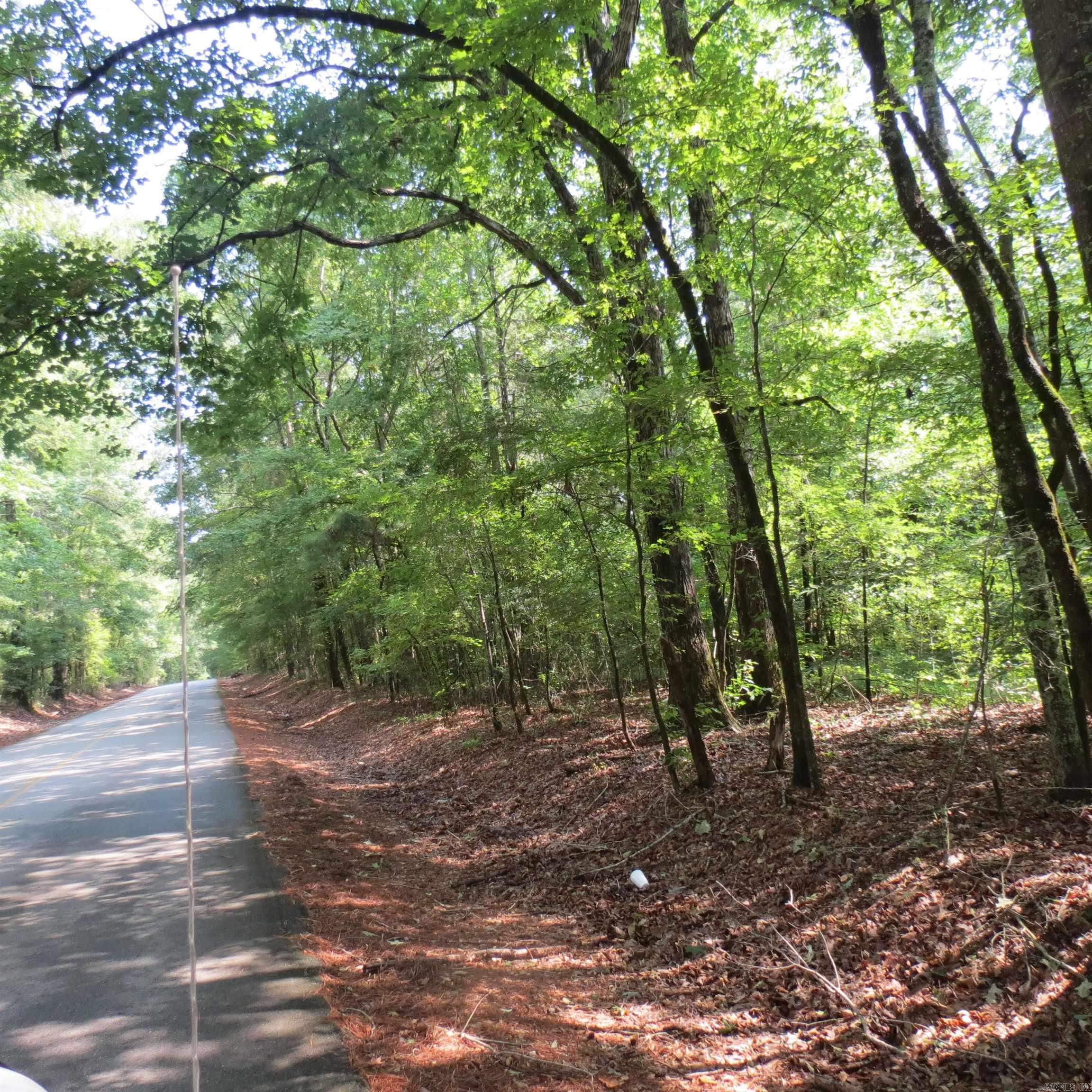 000 Highway 133 Property Photo 5