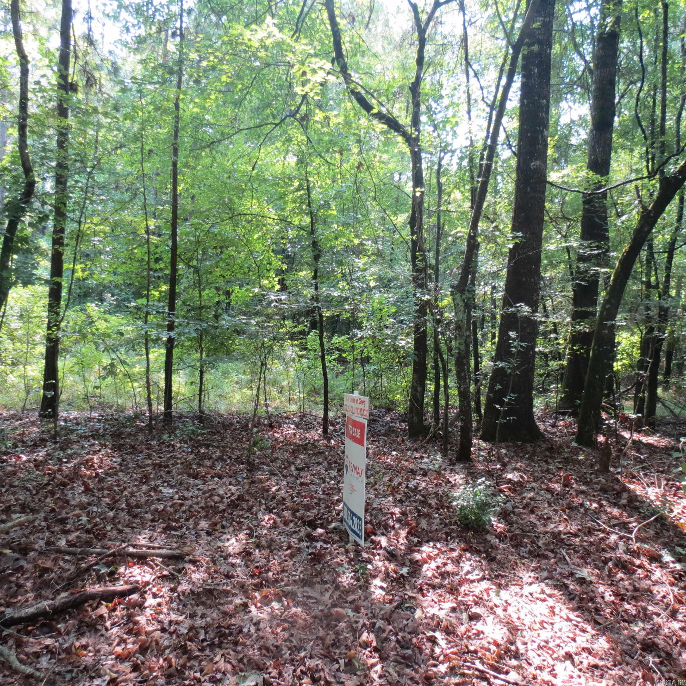000 Highway 133 Property Photo 6