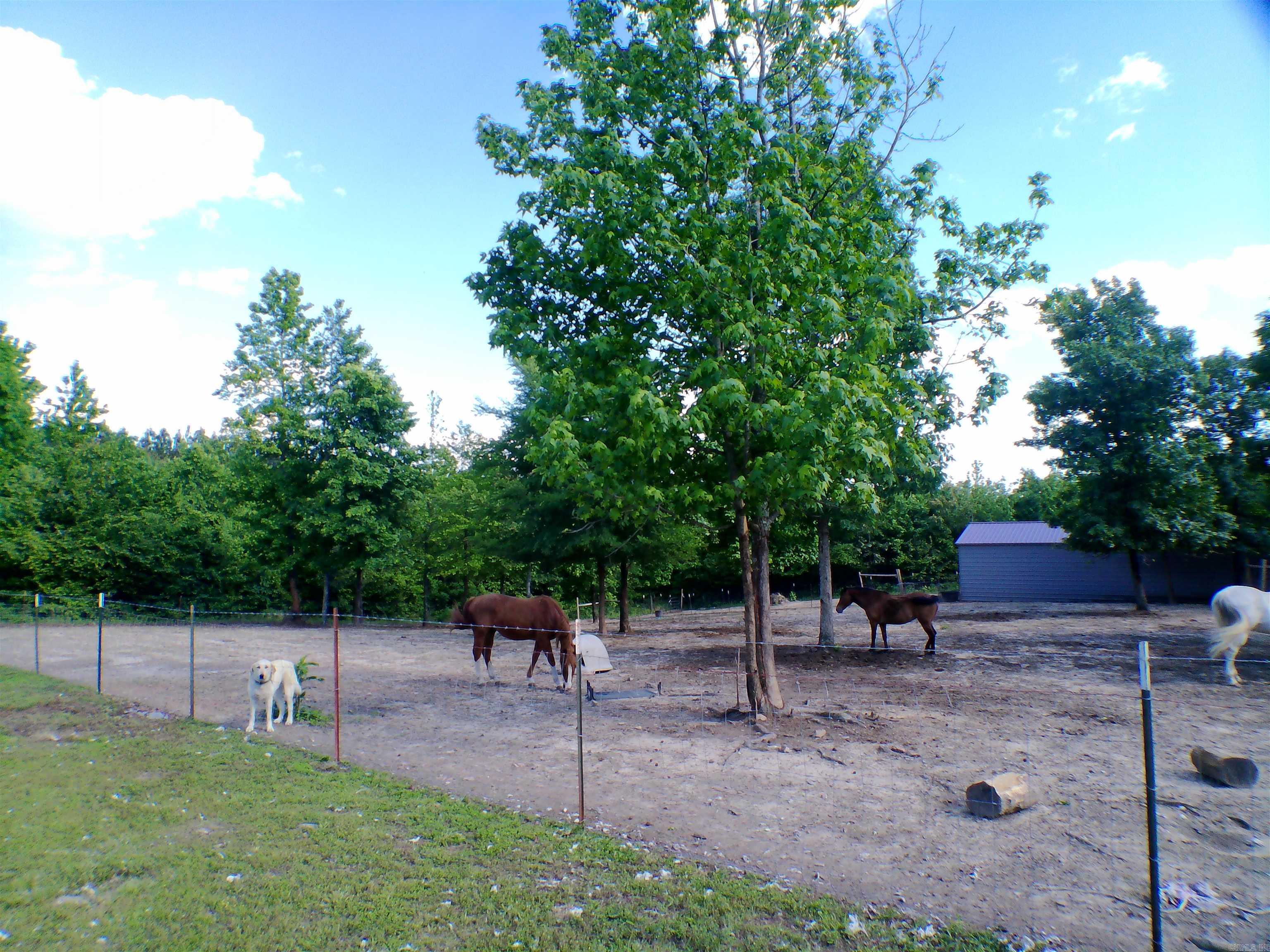 1417 Skyline Dr Property Photo 6