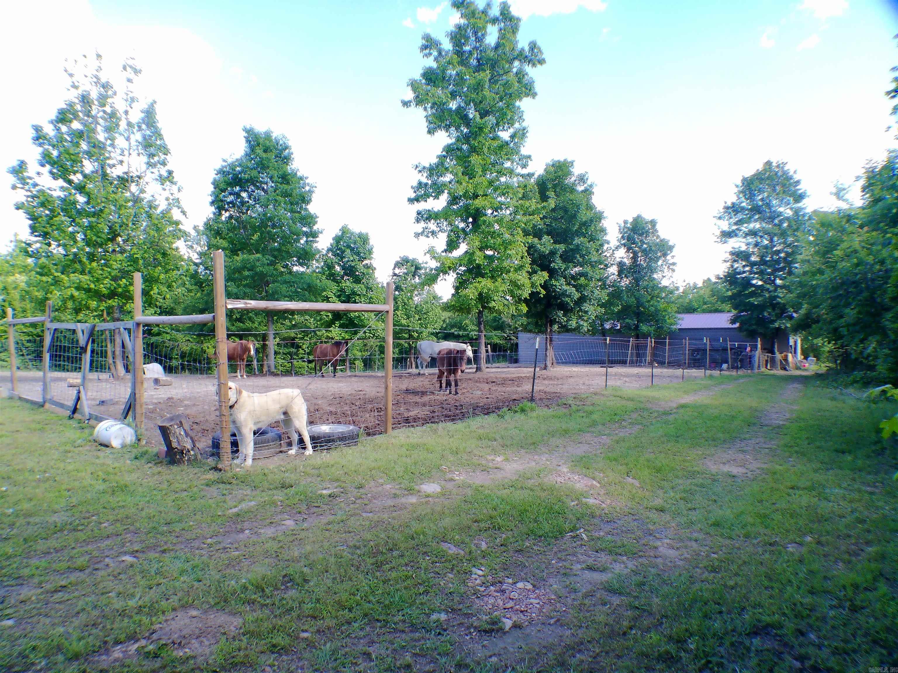 1417 Skyline Dr Property Photo 7