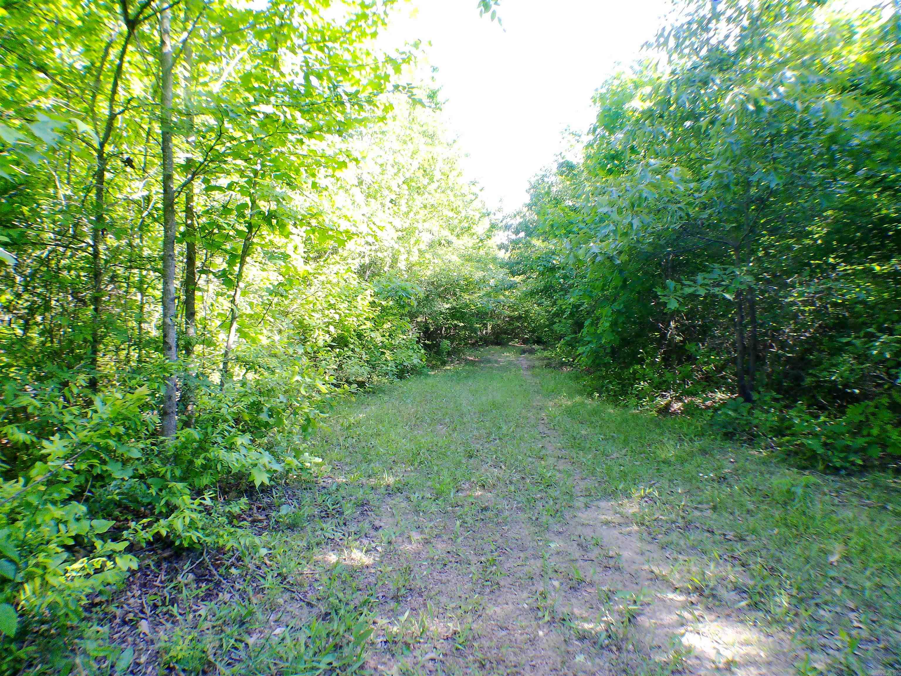 1417 Skyline Dr Property Photo 11