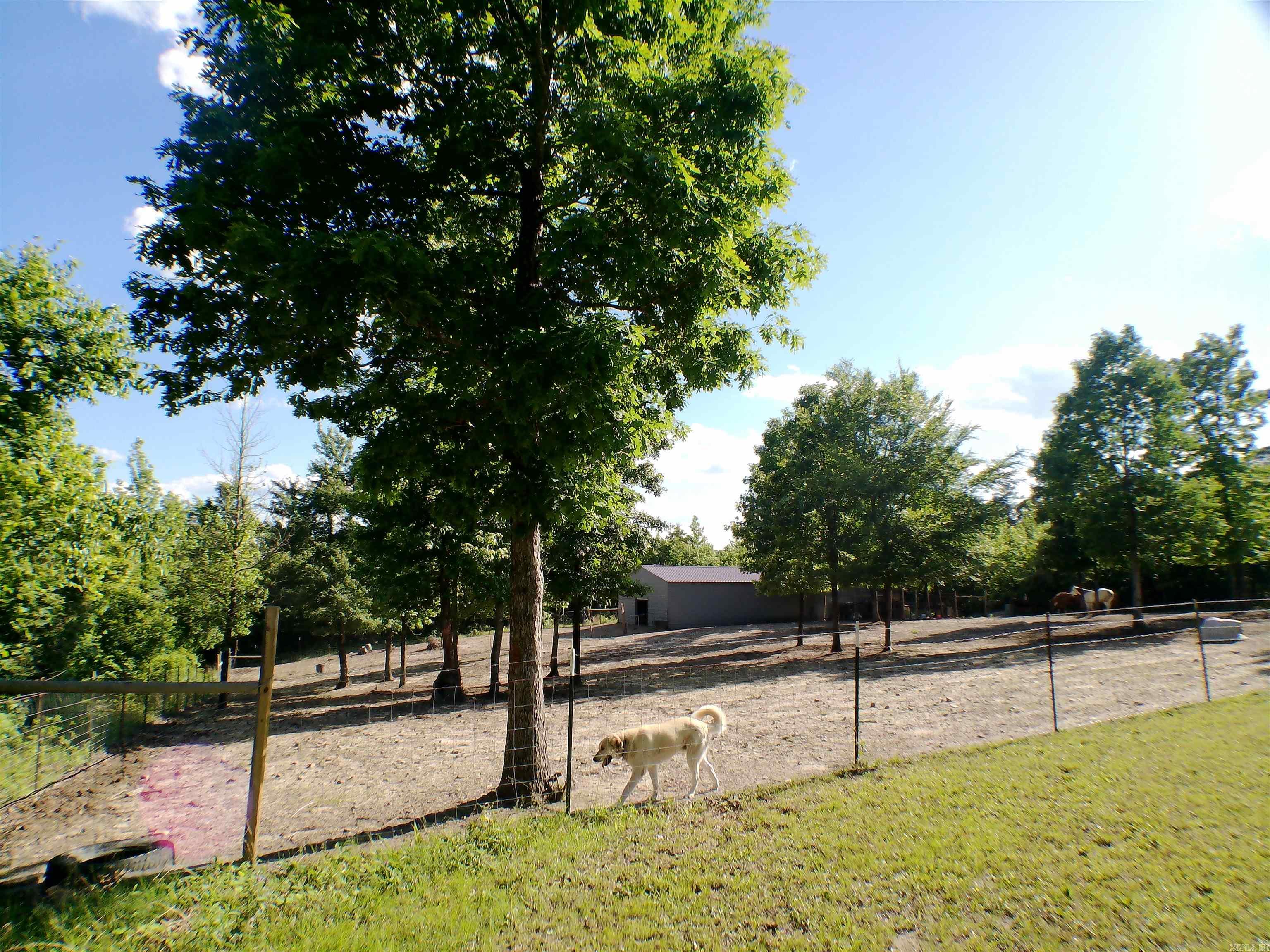 1417 Skyline Dr Property Photo 12