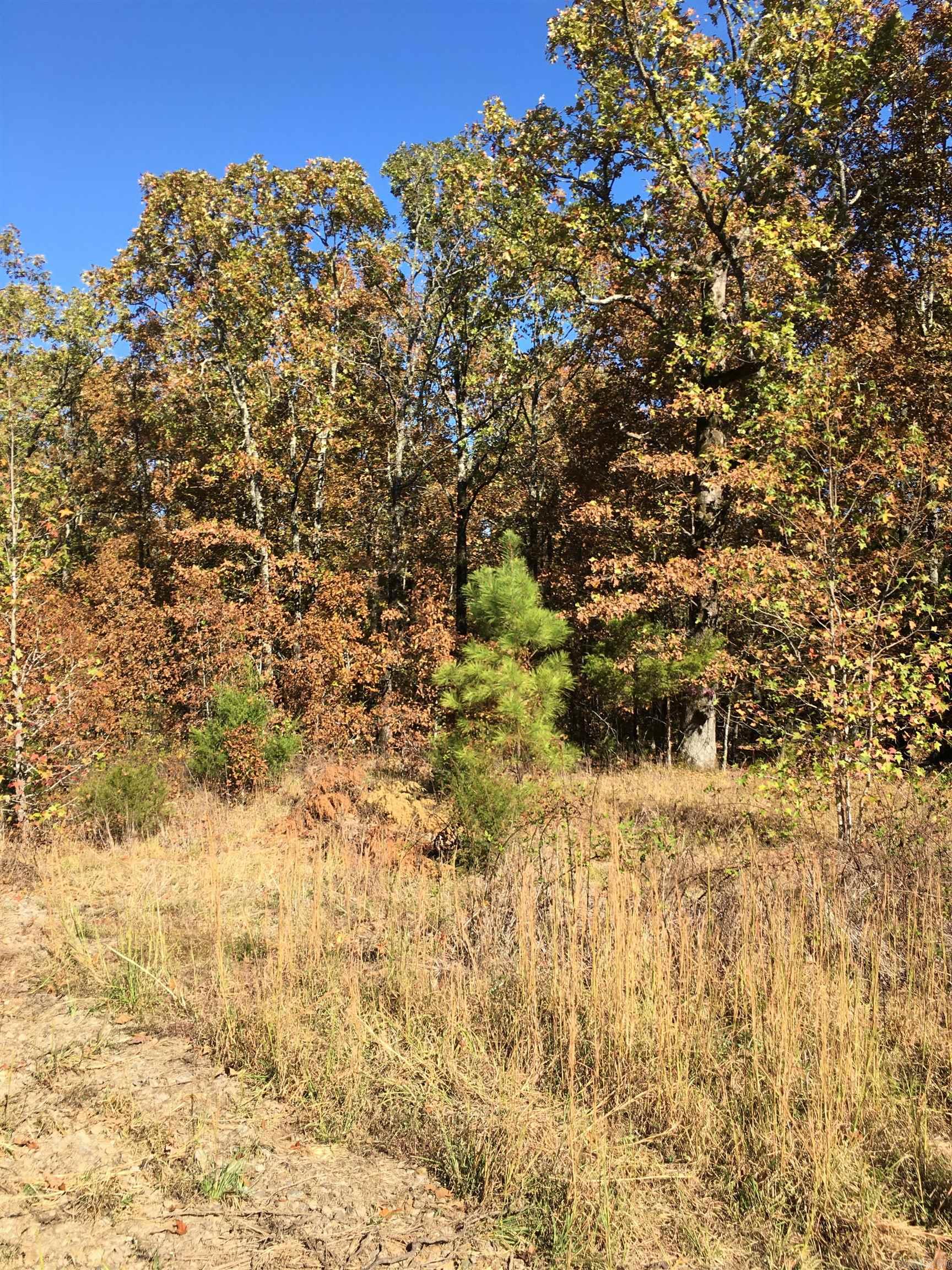 Lot 15,16,17 Golden Meadows Property Photo 6