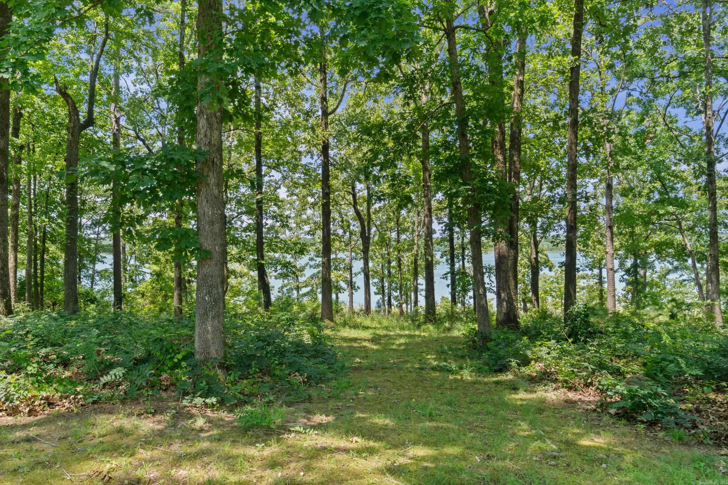 3304 Case Ford Road Property Photo 44