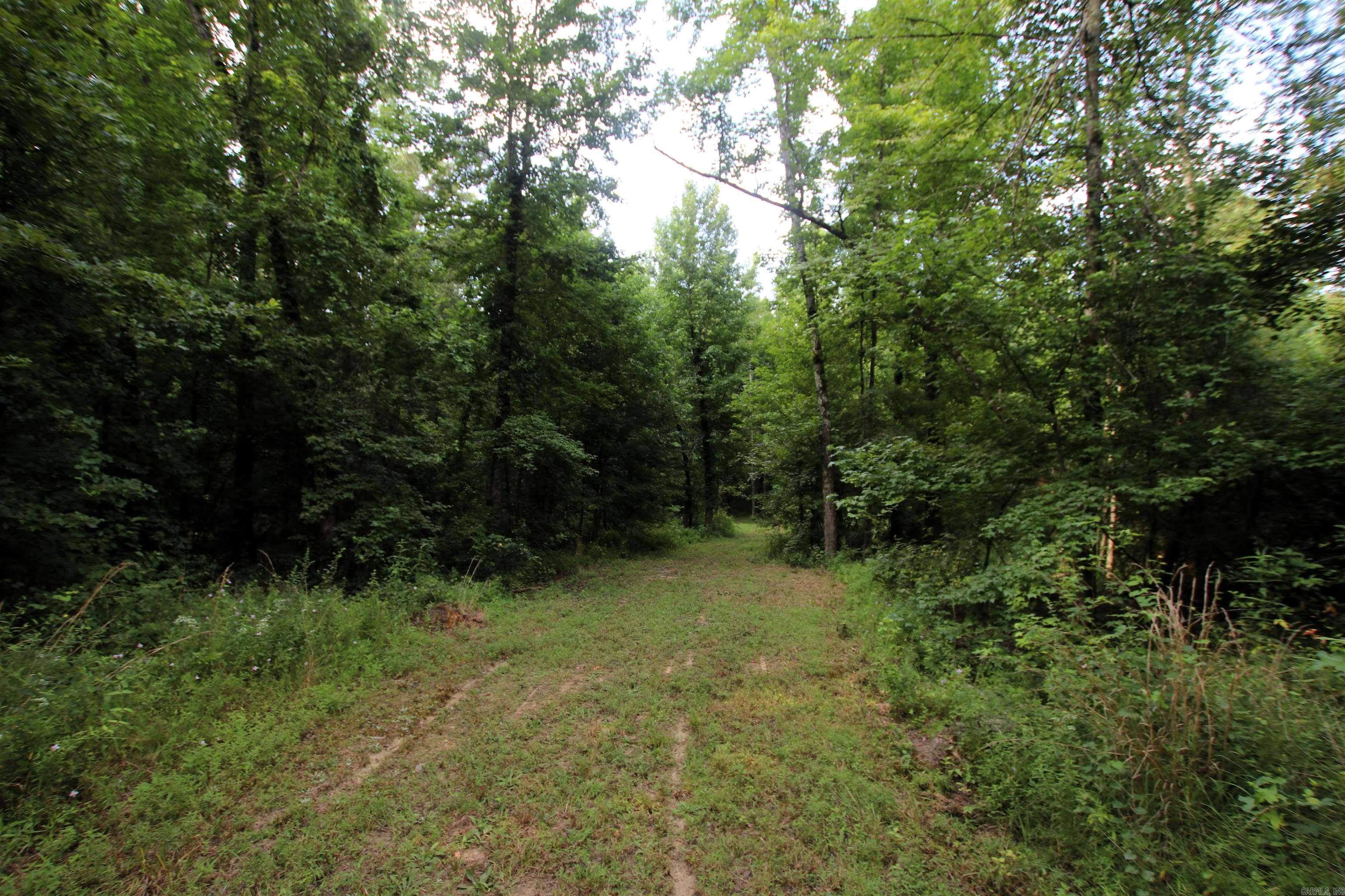 164 Reservior Road Property Photo 3