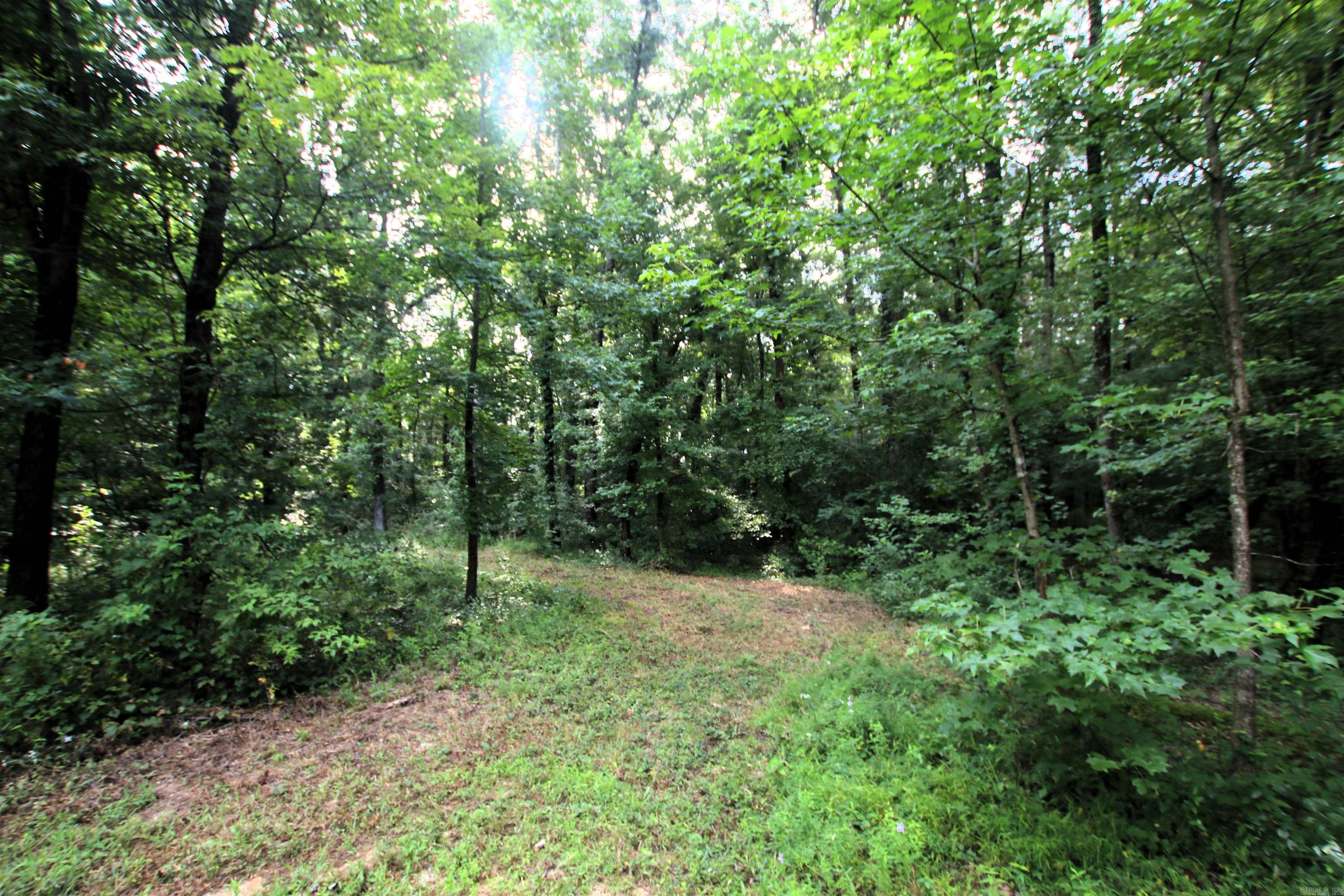 164 Reservior Road Property Photo 4