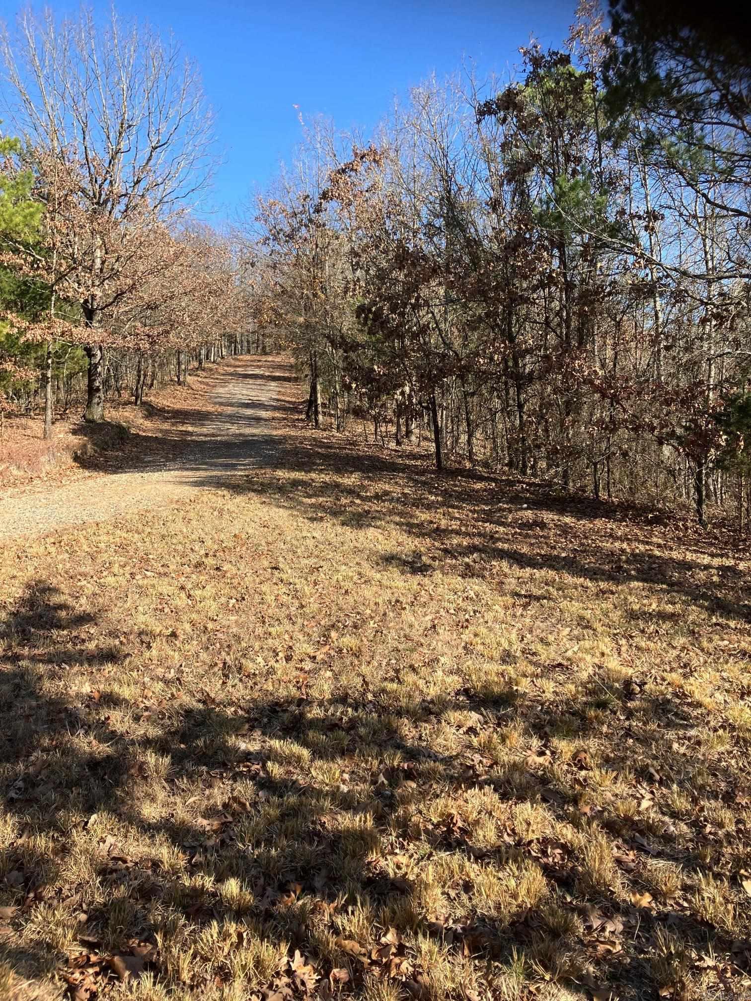 161 Thompson Creek Lane Property Photo 48