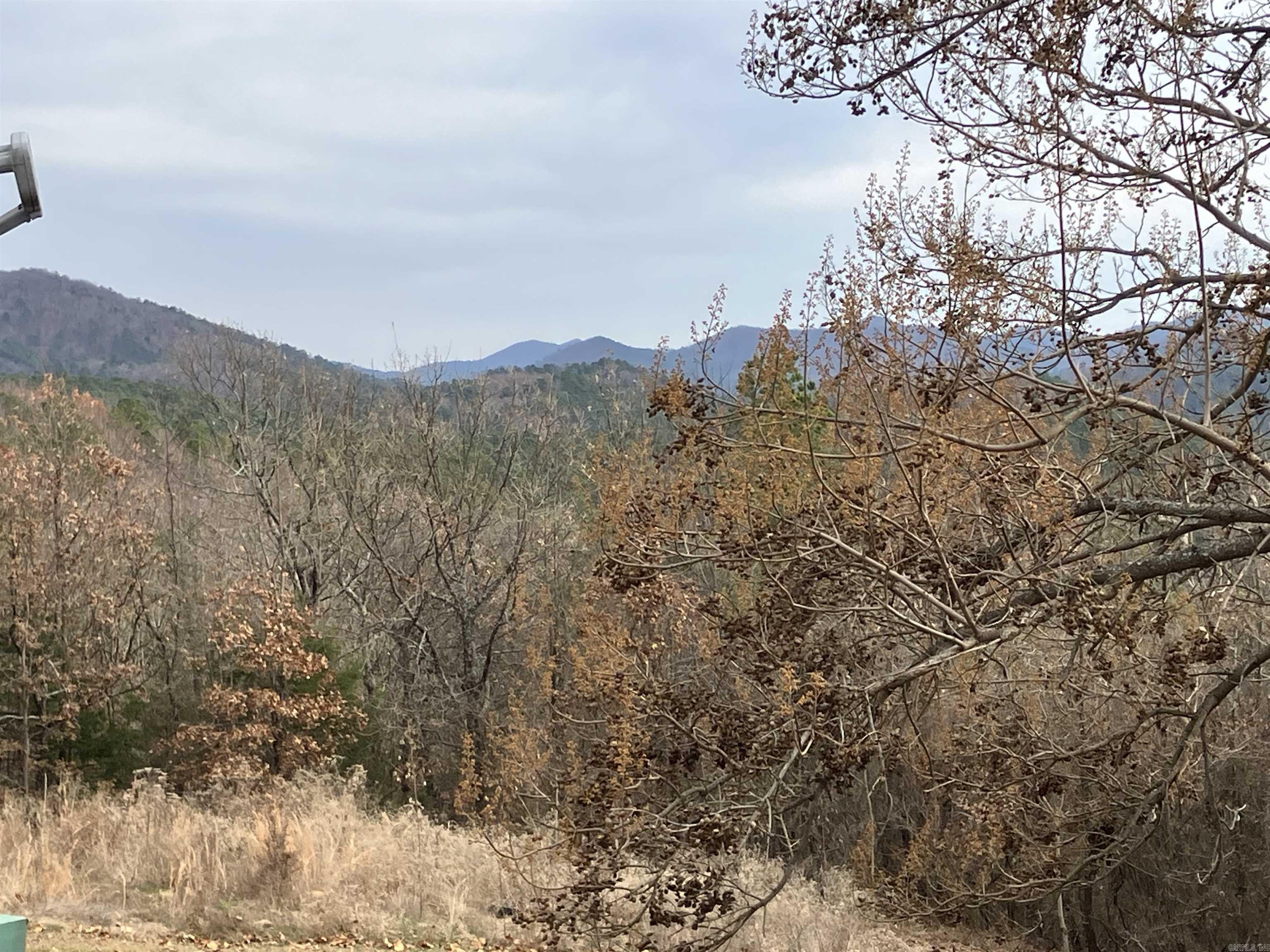 000 Thompson Creek Lane Property Photo 40