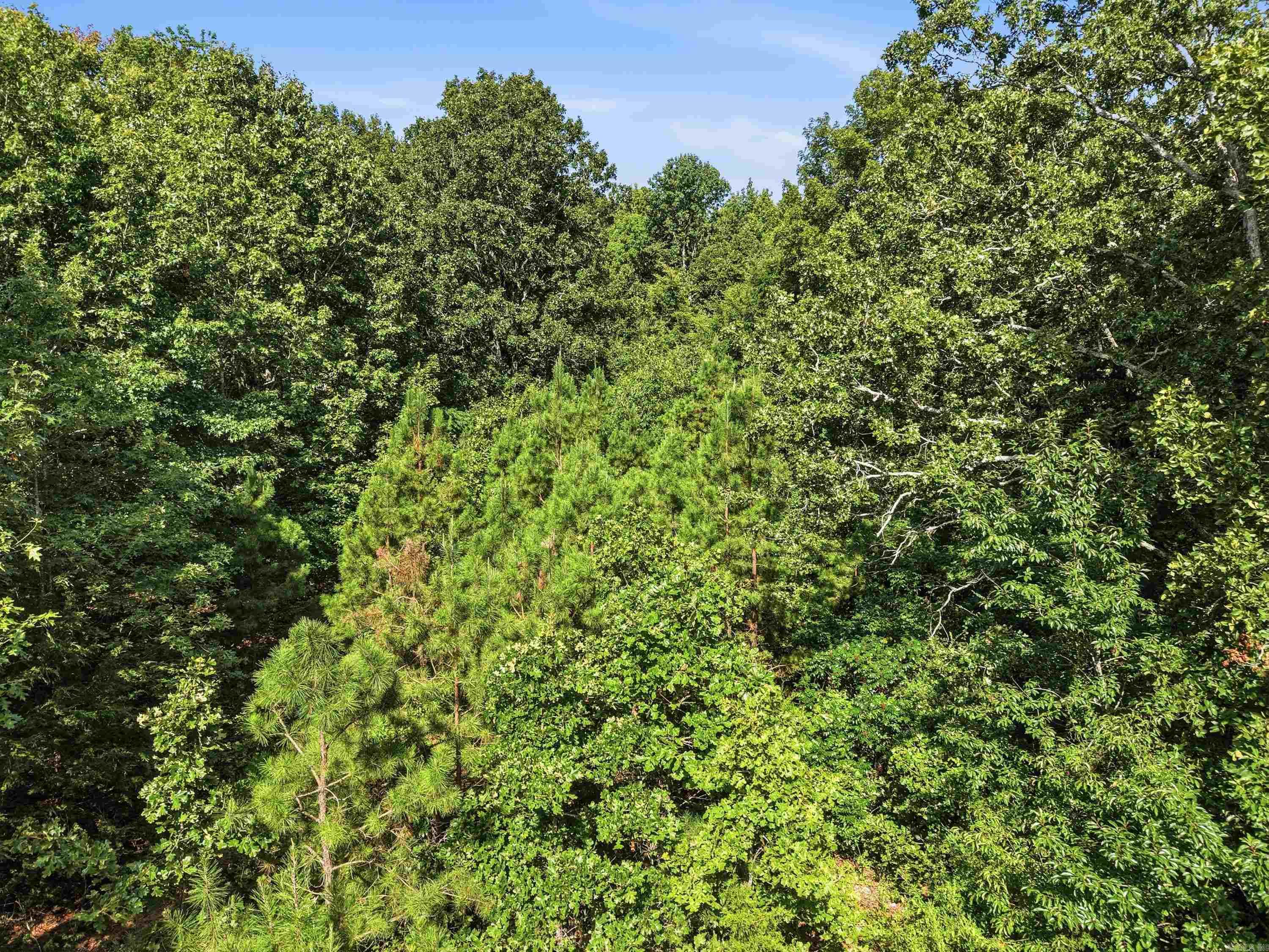 000 County Line Road Property Photo 10