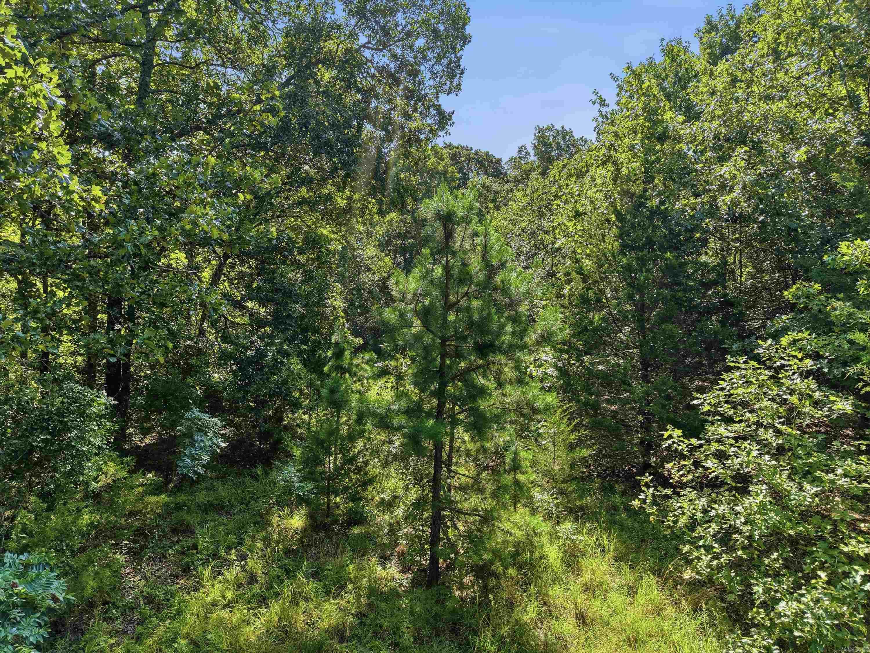 000 County Line Road Property Photo 11