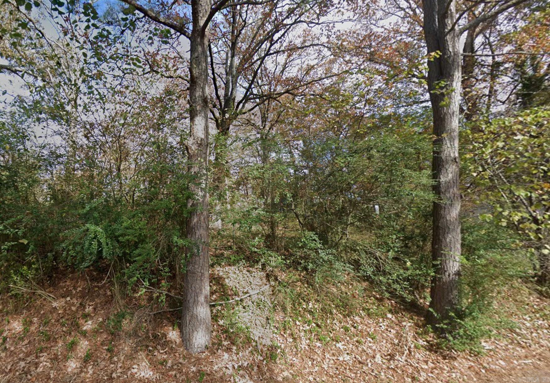 367 Beach Haven Road Property Photo 3