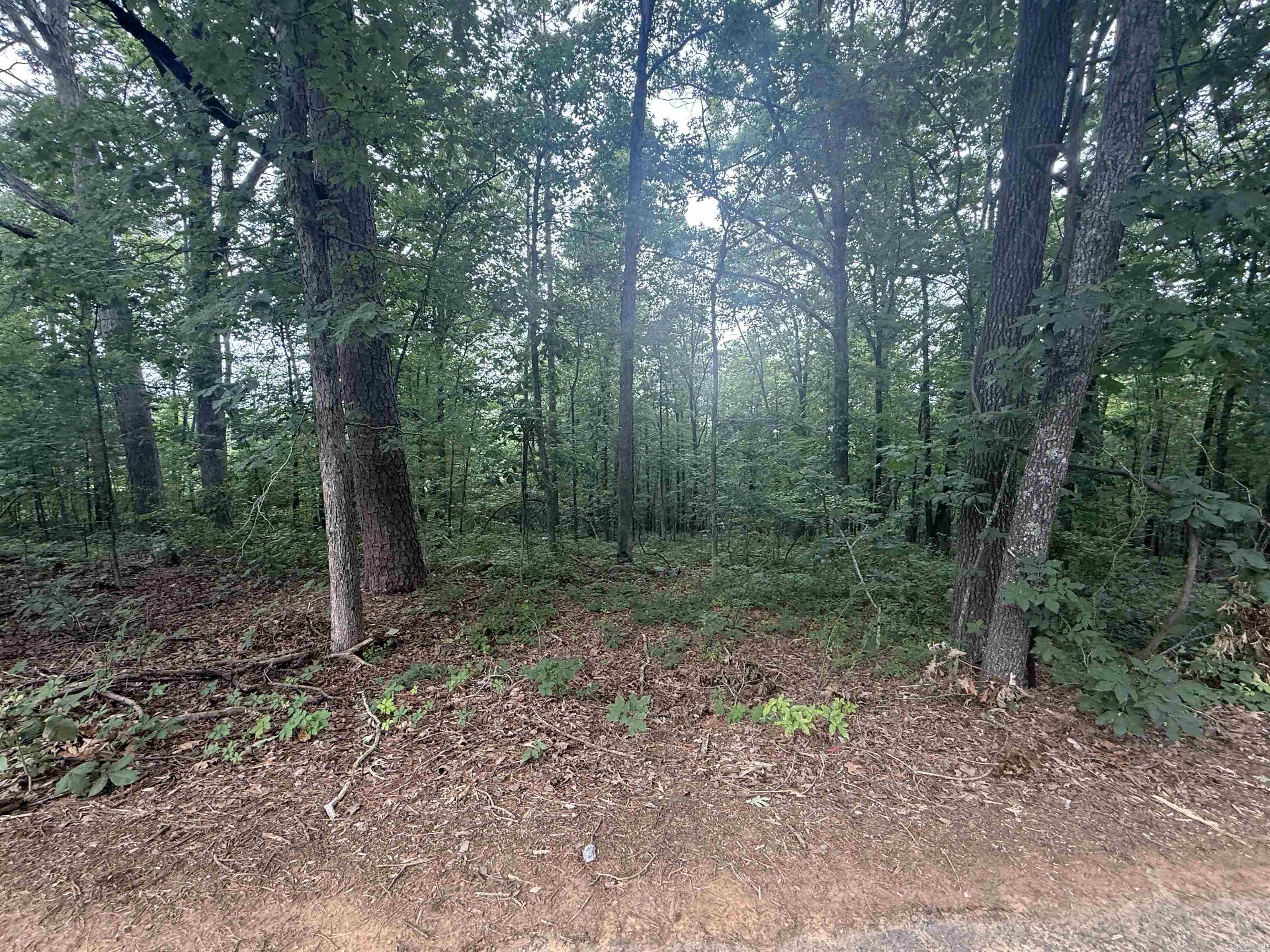 Pine Drive Property Photo 5