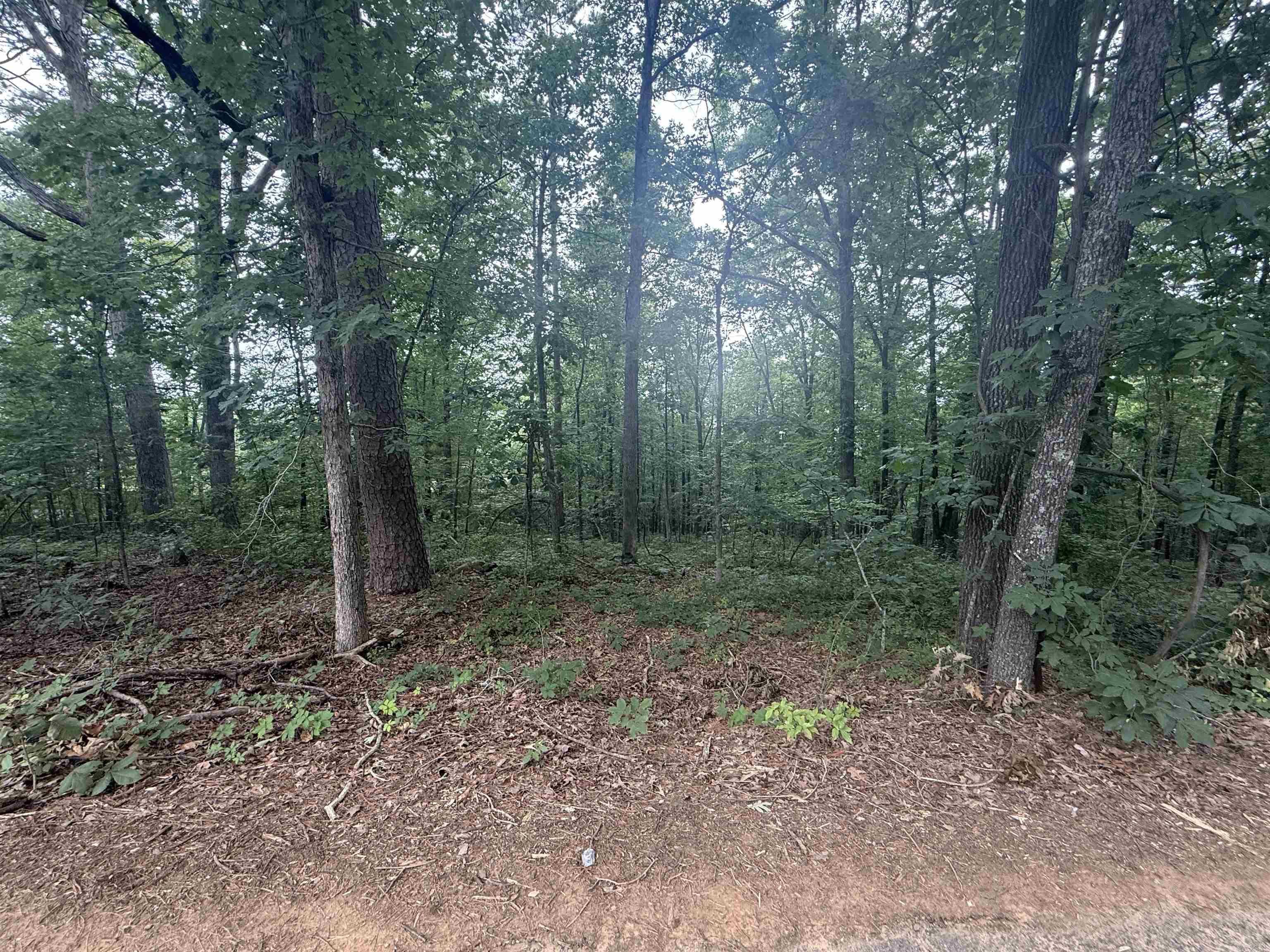 Pine Drive Property Photo 6