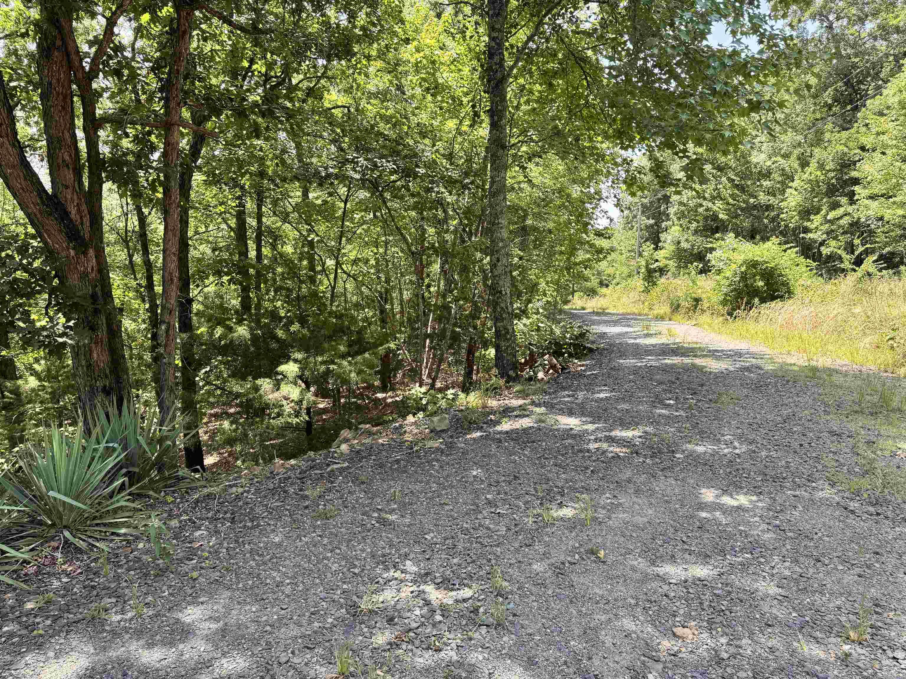 219 Shanendoah Lane Property Photo 34