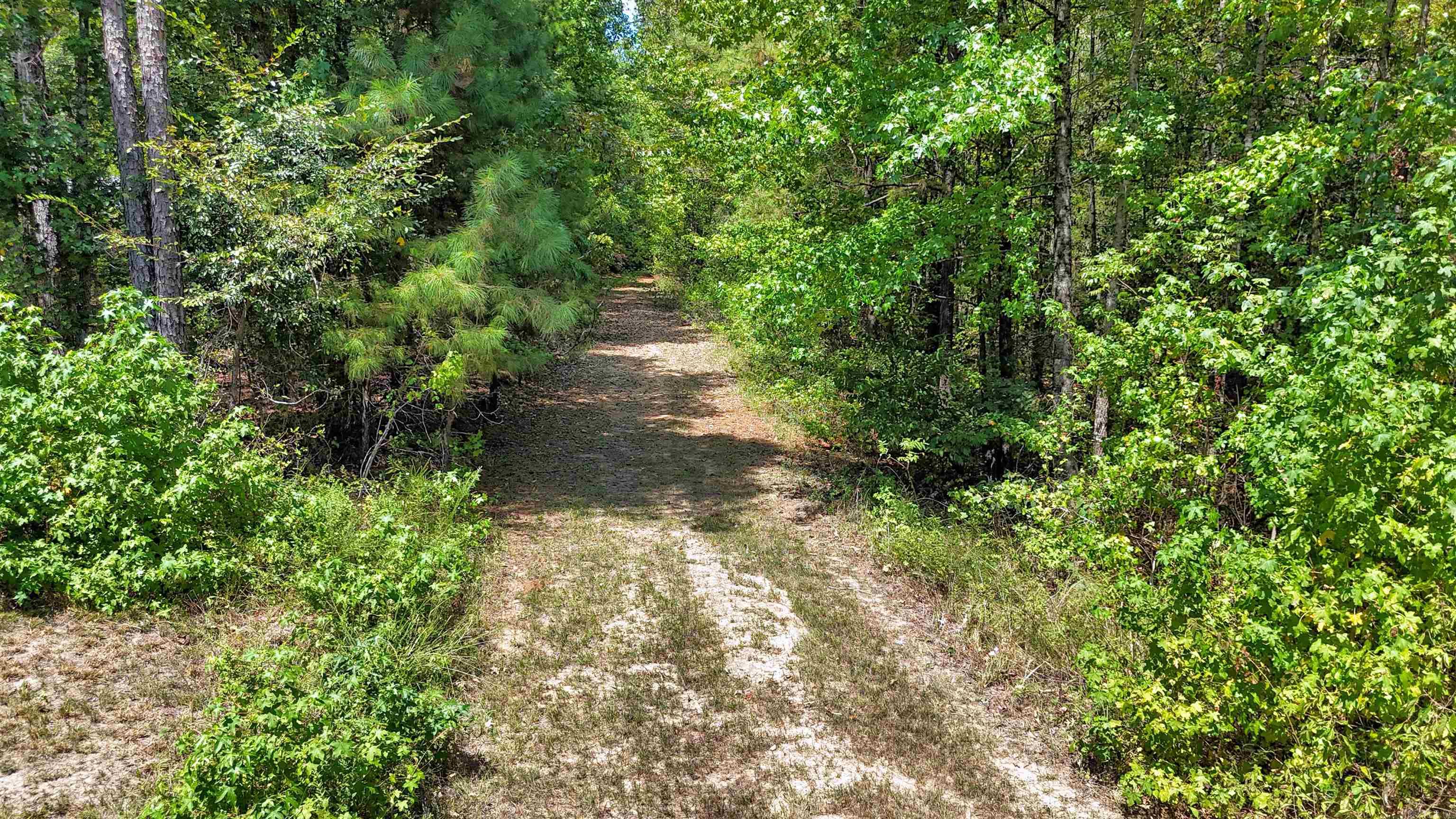 100 Country Lane Property Photo 29