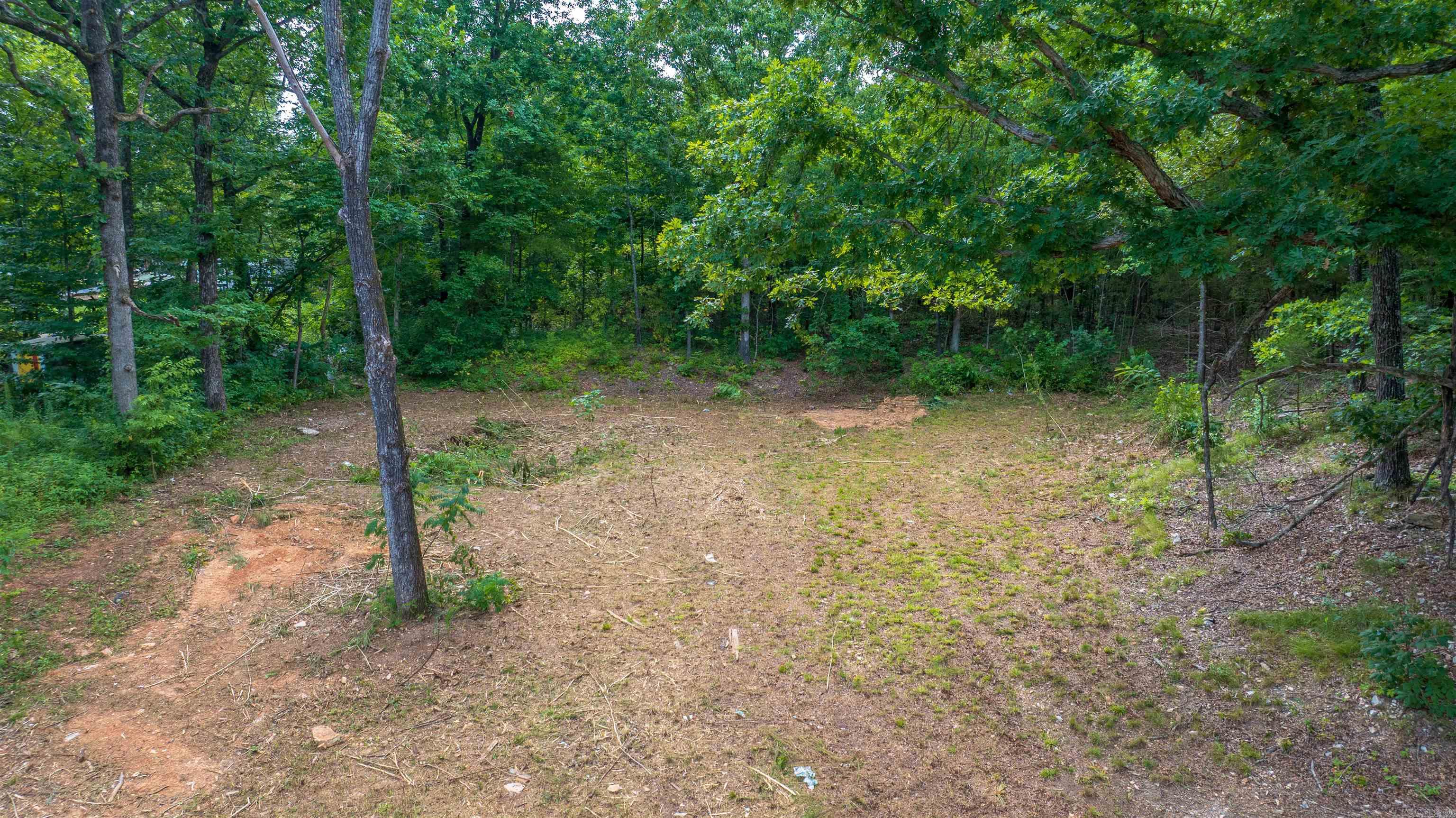 0 Lakeview Circle Property Photo 2