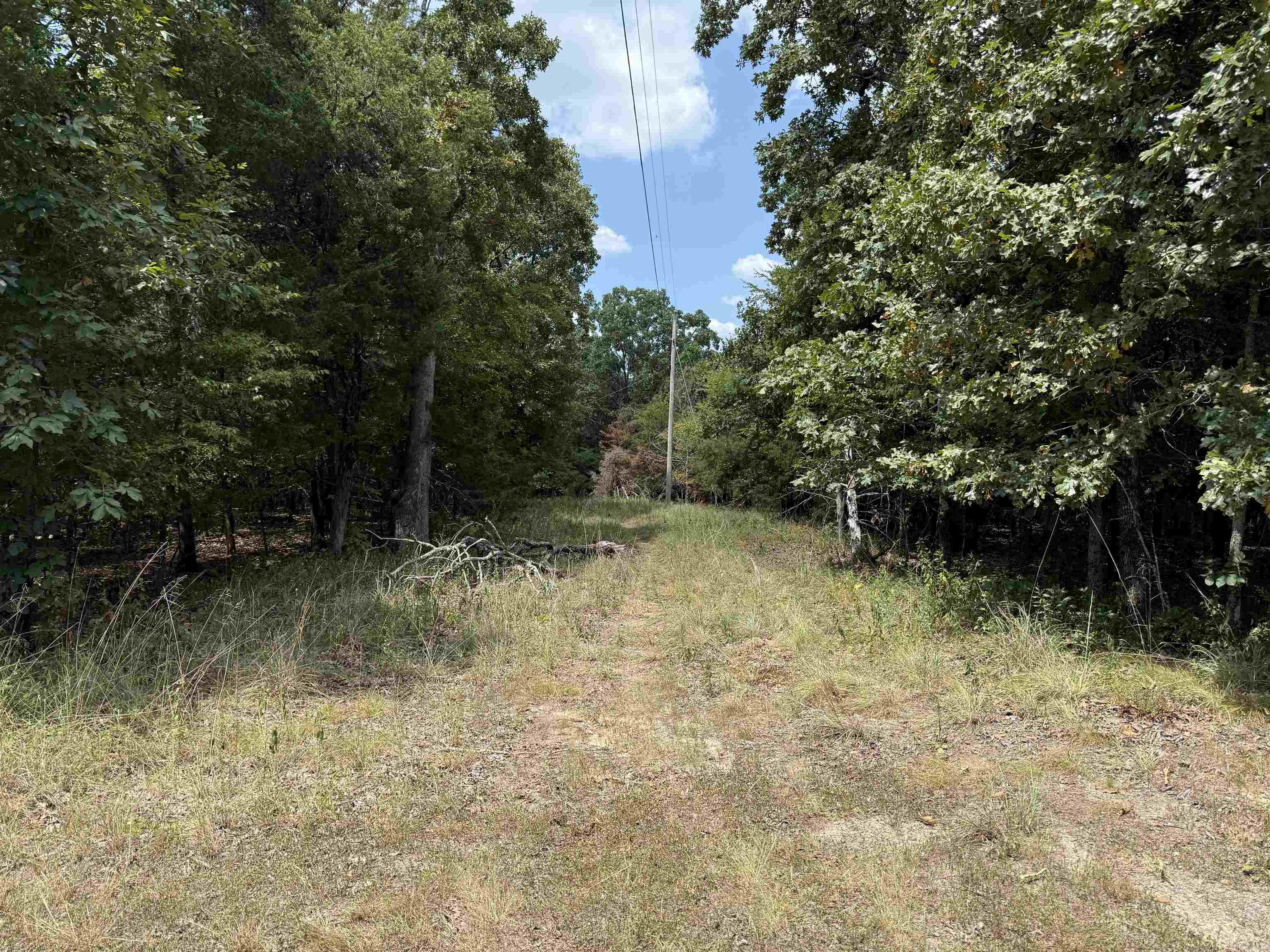 00 Norris Lane Property Photo 1