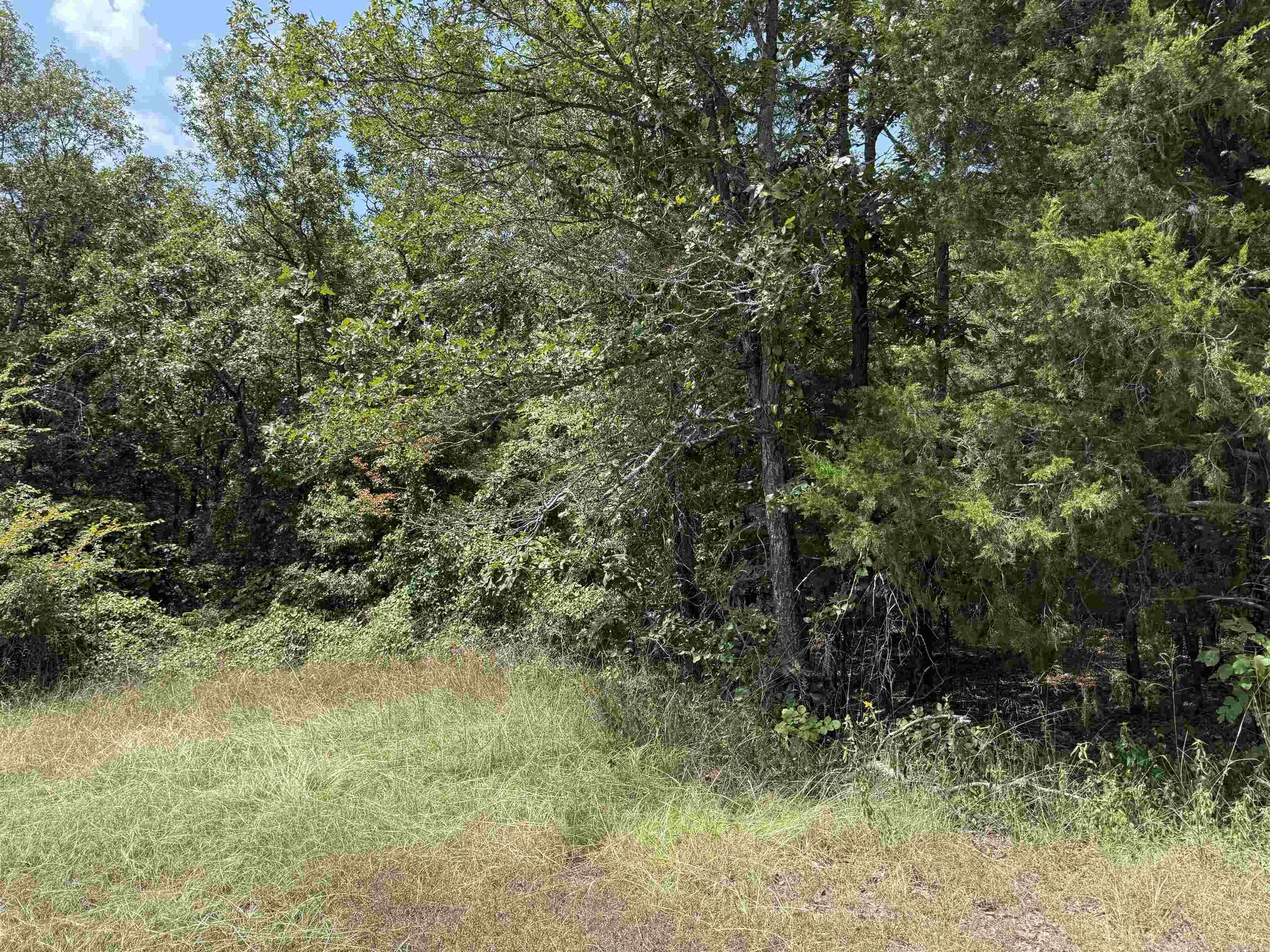 00 Norris Lane Property Photo 4