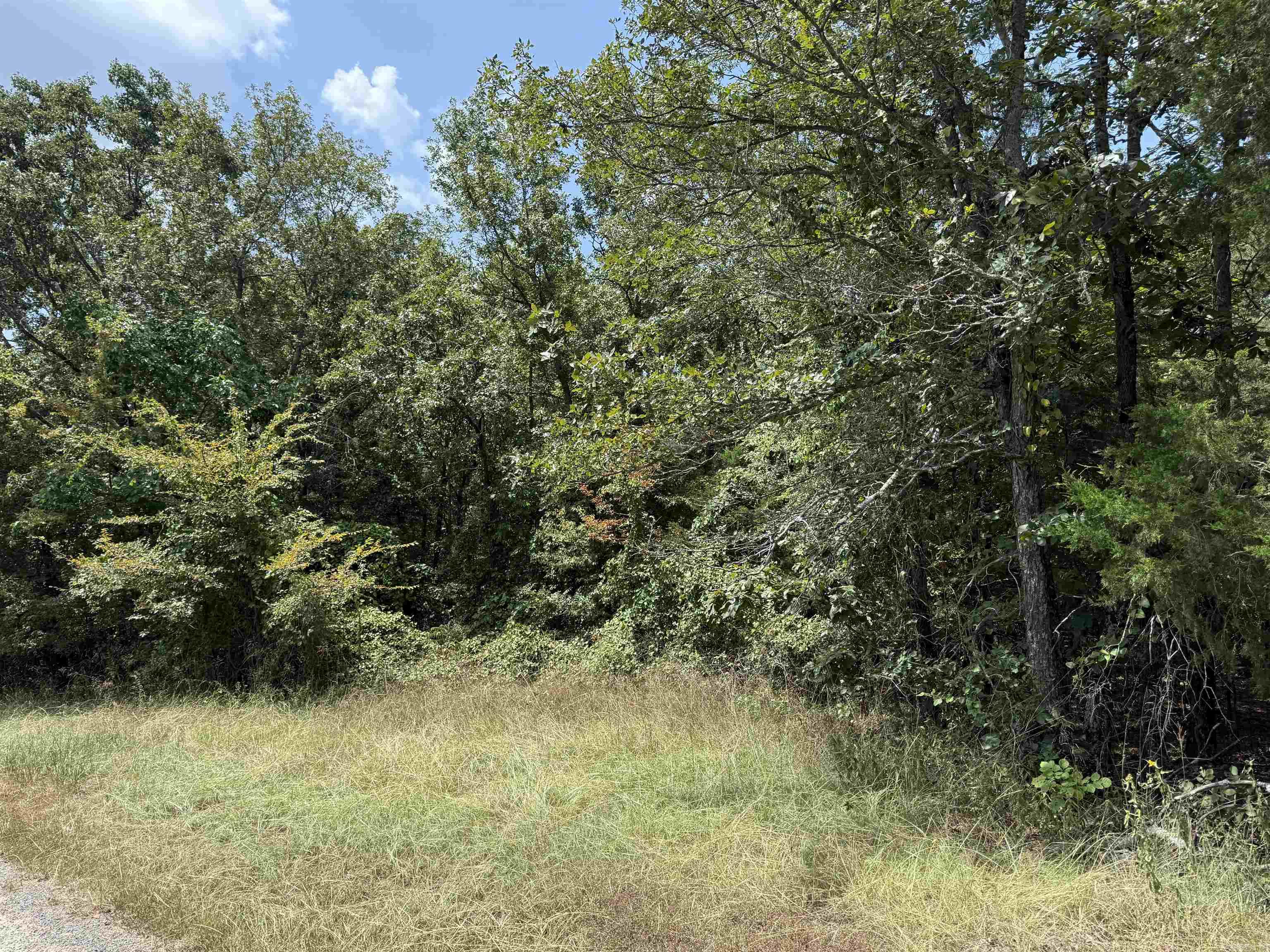 00 Norris Lane Property Photo 5