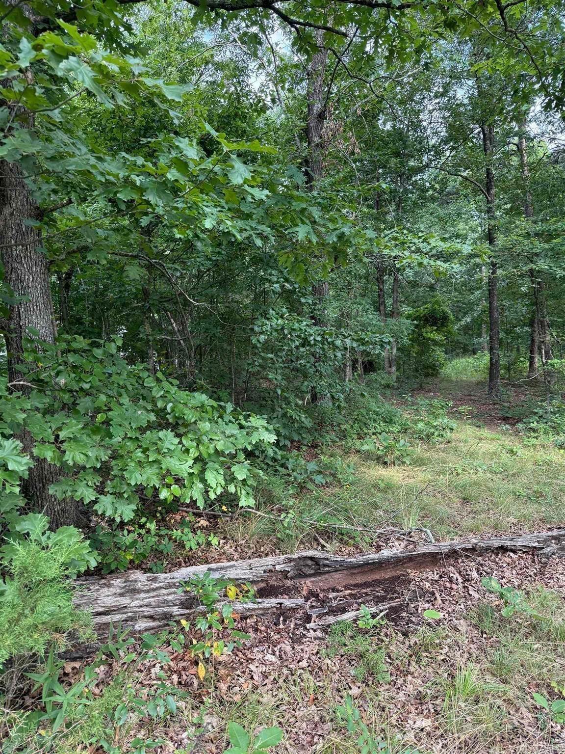 2830 Tiger B Road Property Photo 1