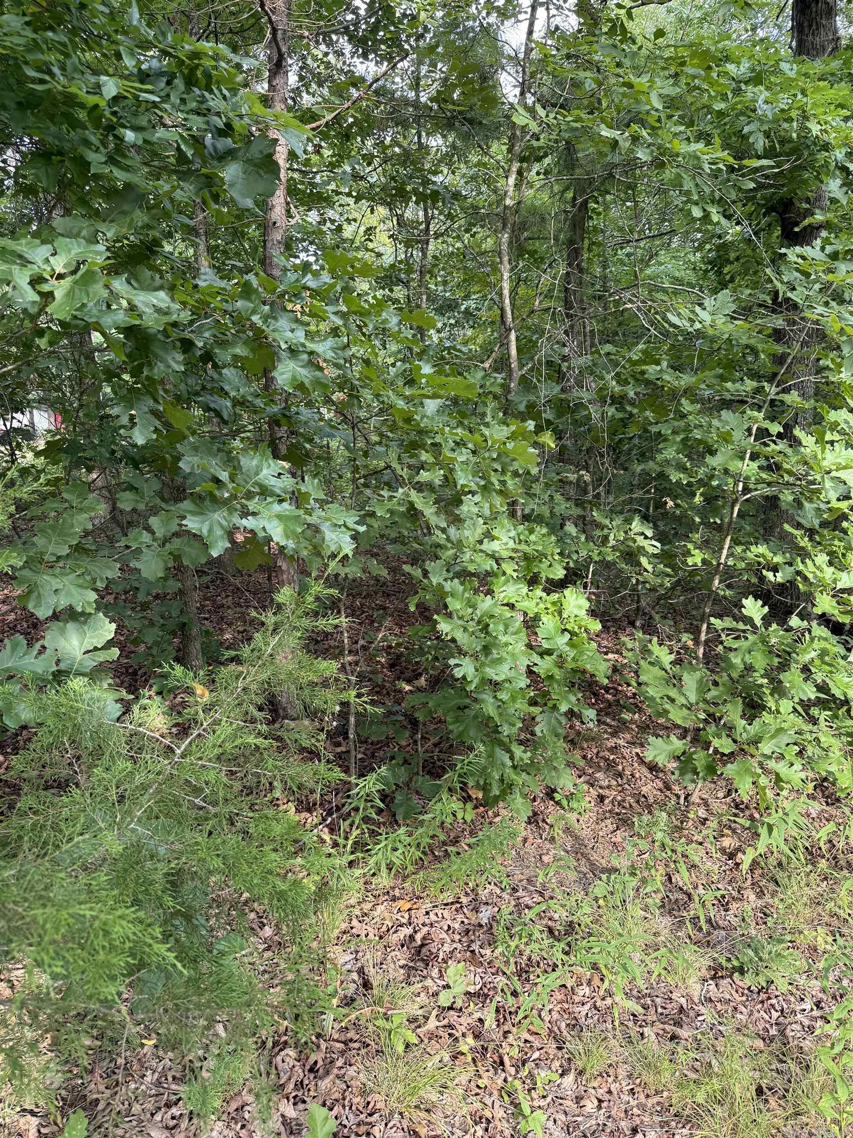 2830 Tiger B Road Property Photo 3