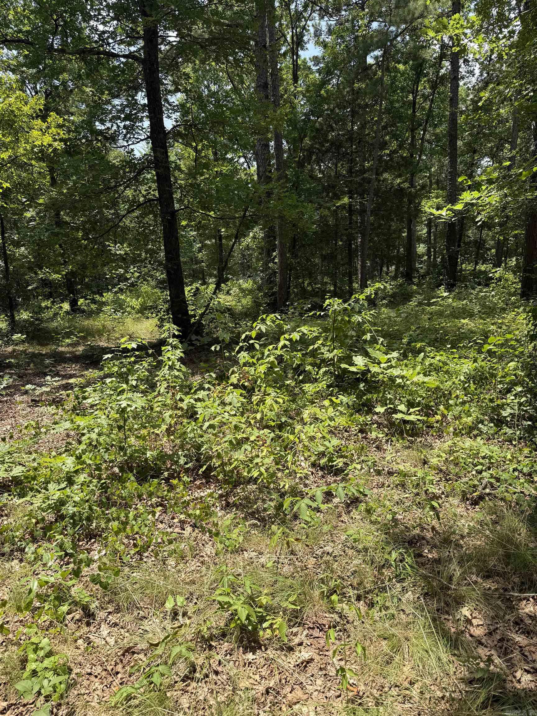 2830 Tiger B Road Property Photo 4