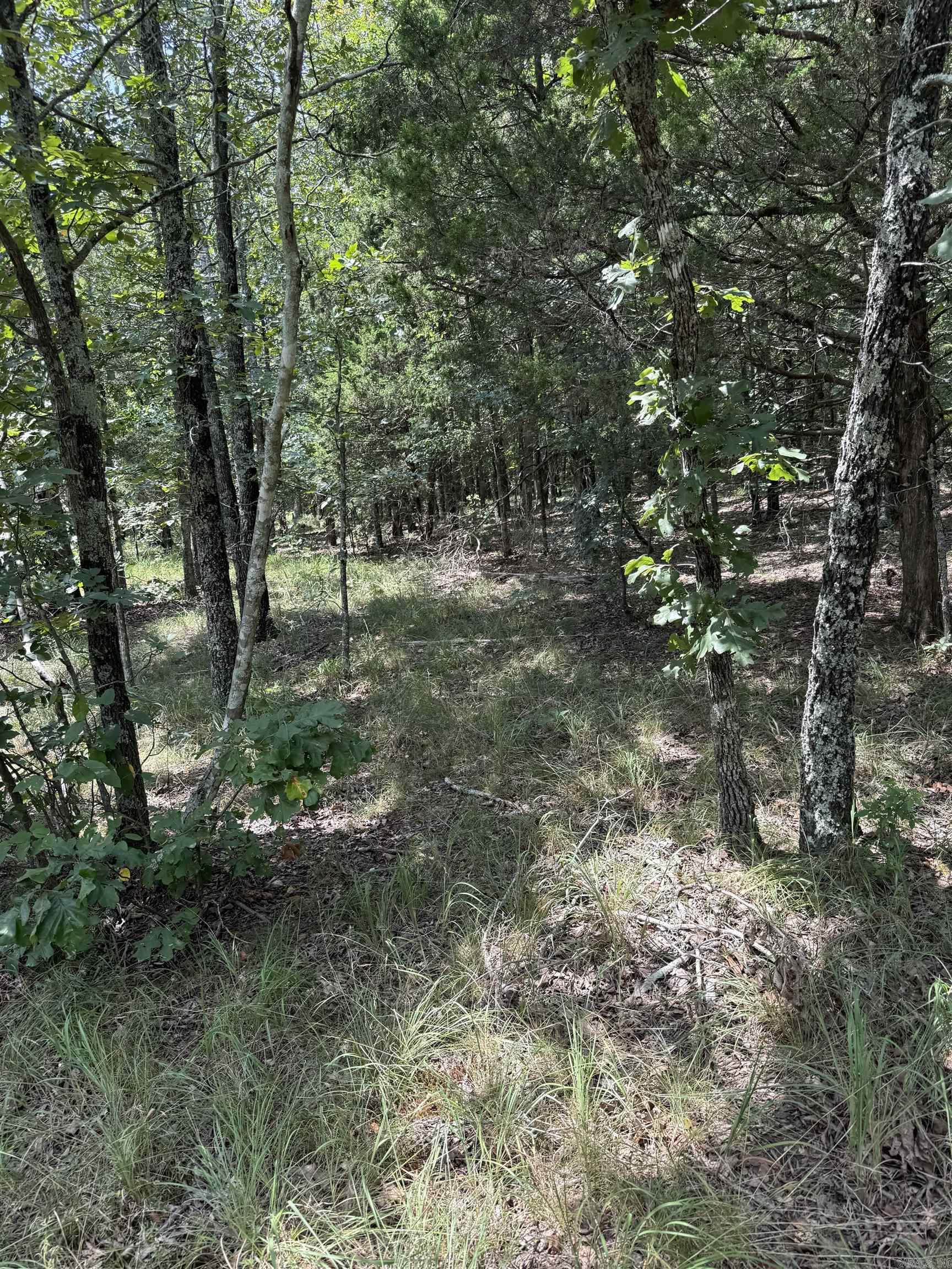 2830 Tiger B Road Property Photo 9