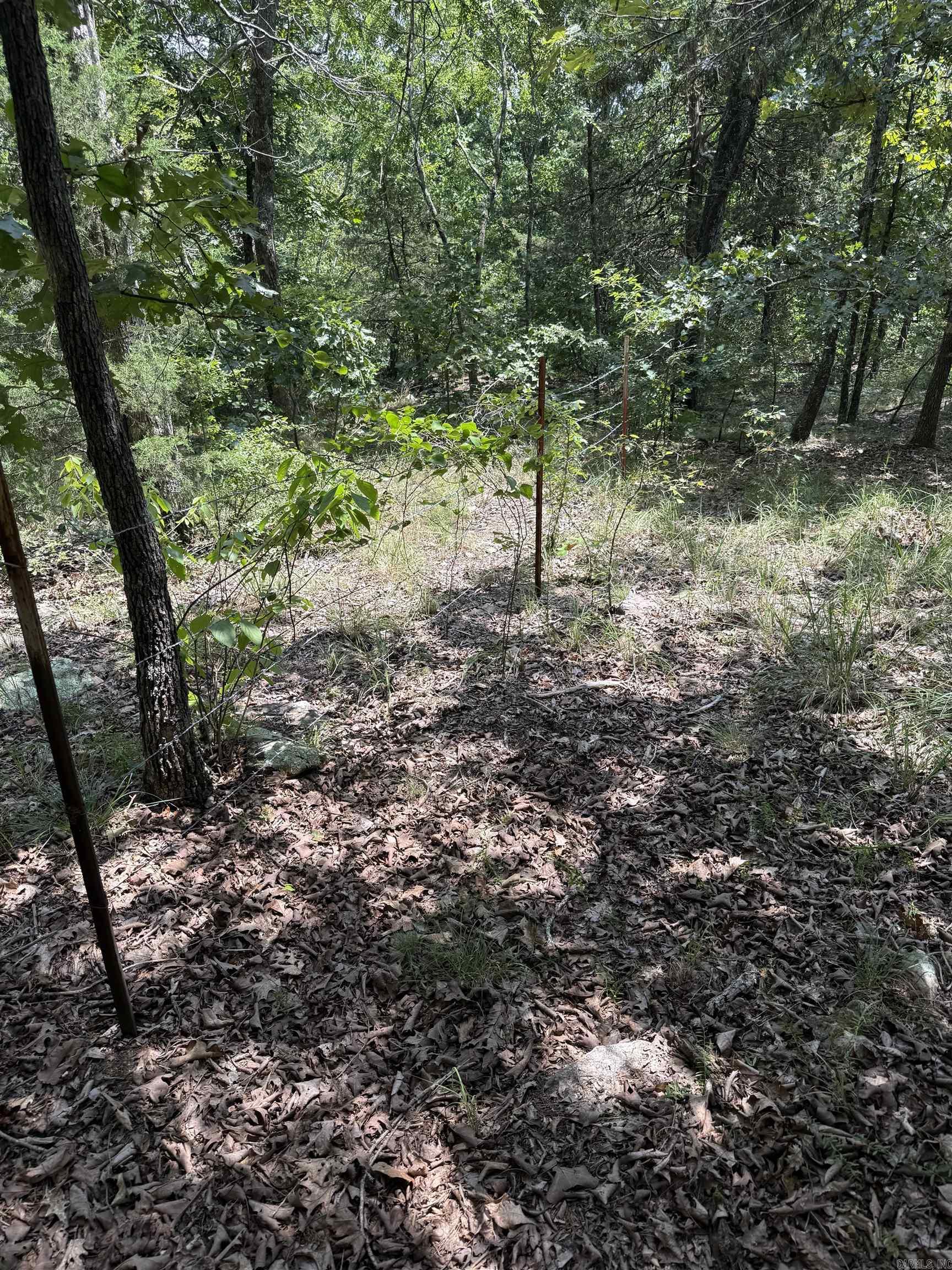 2830 Tiger B Road Property Photo 10