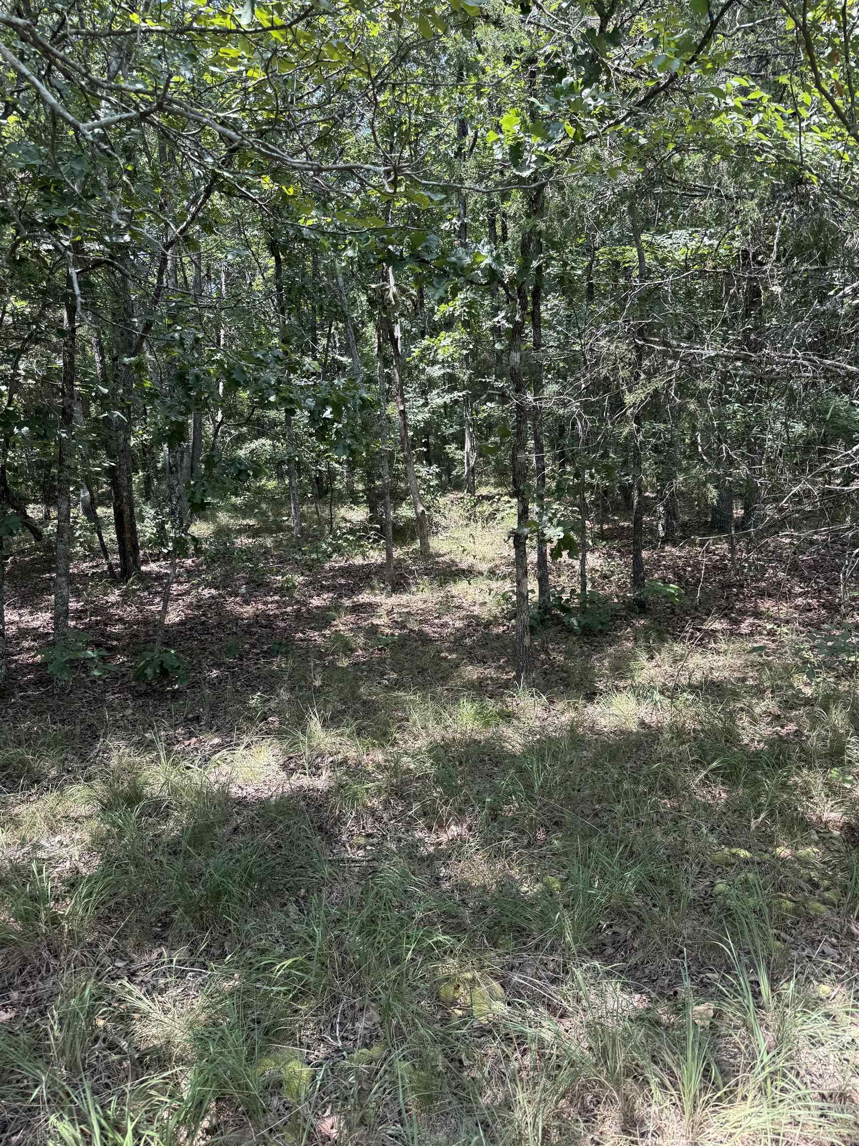 2830 Tiger B Road Property Photo 11